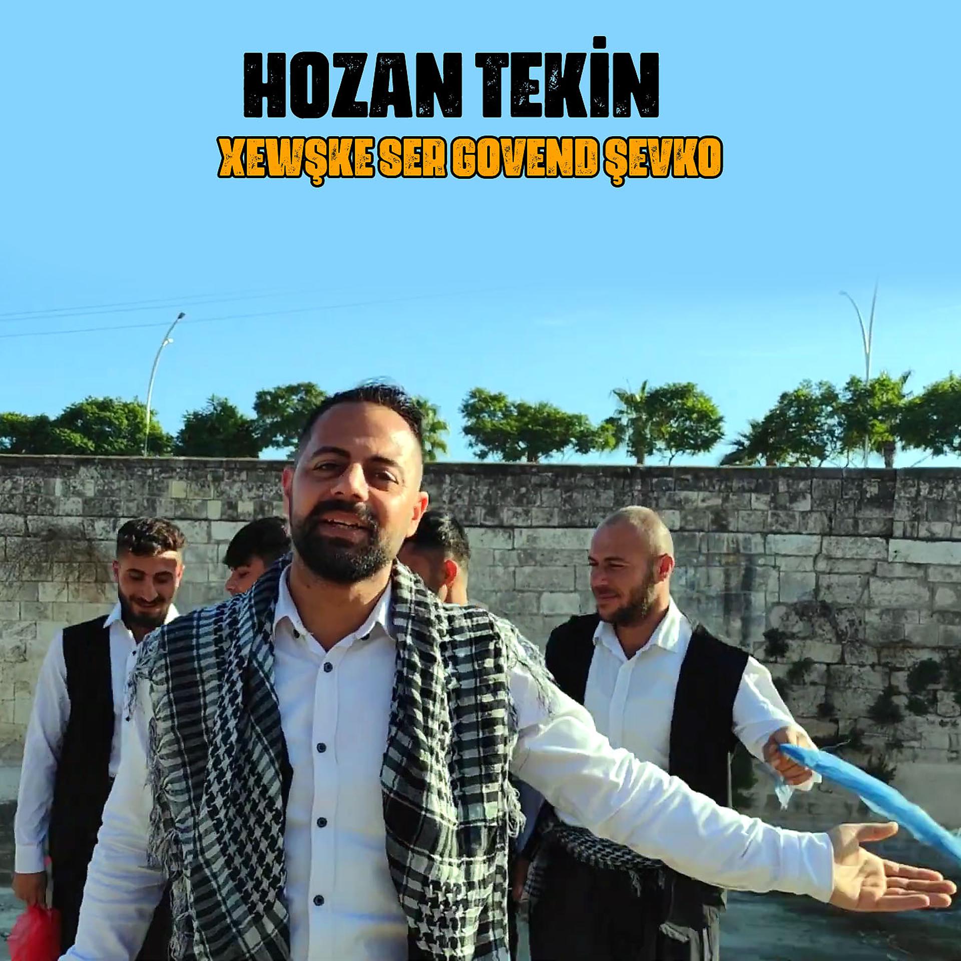 Постер альбома Xewşke Ser Govend Şevko