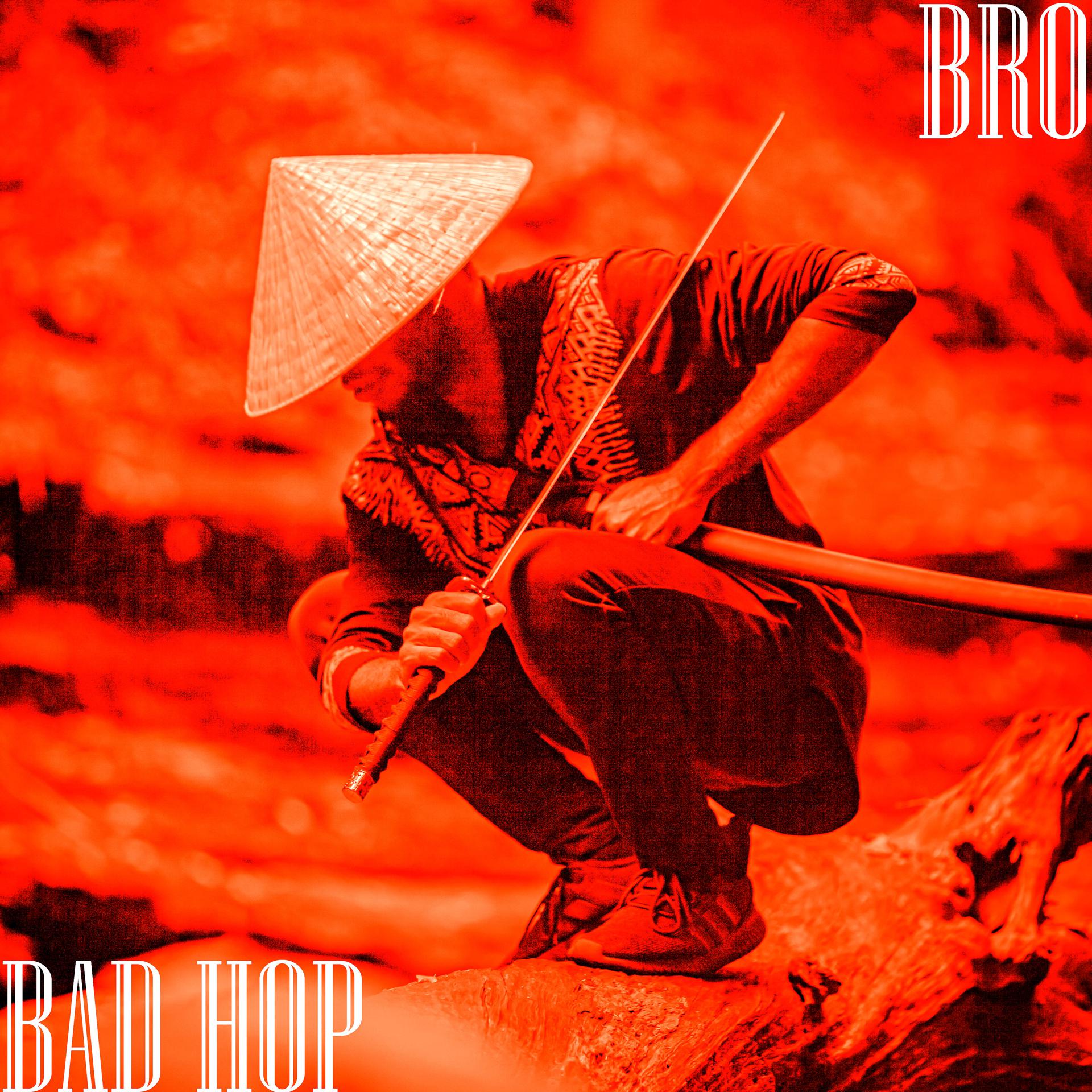 Постер альбома Bro