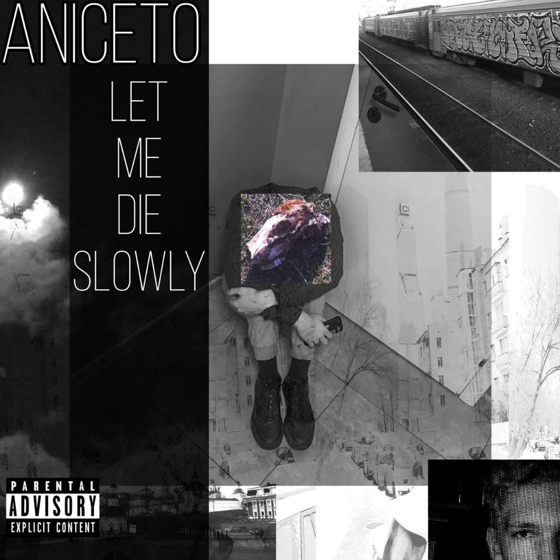 Постер альбома Let Me Die Slowly