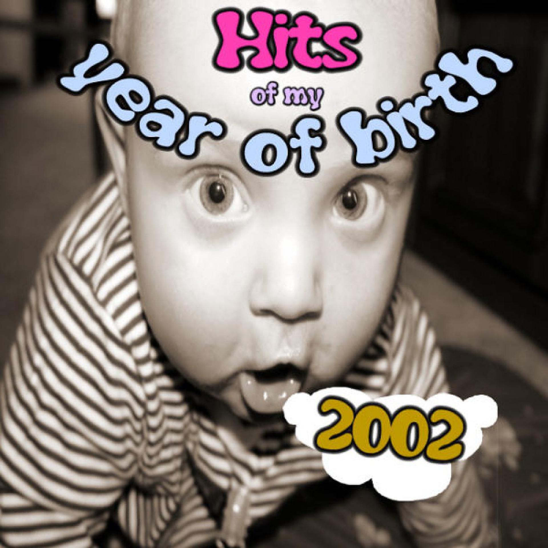 Постер альбома Hits of My Year of Birth-2002 / Hits Aus Meinem Geburtsjahr-2002