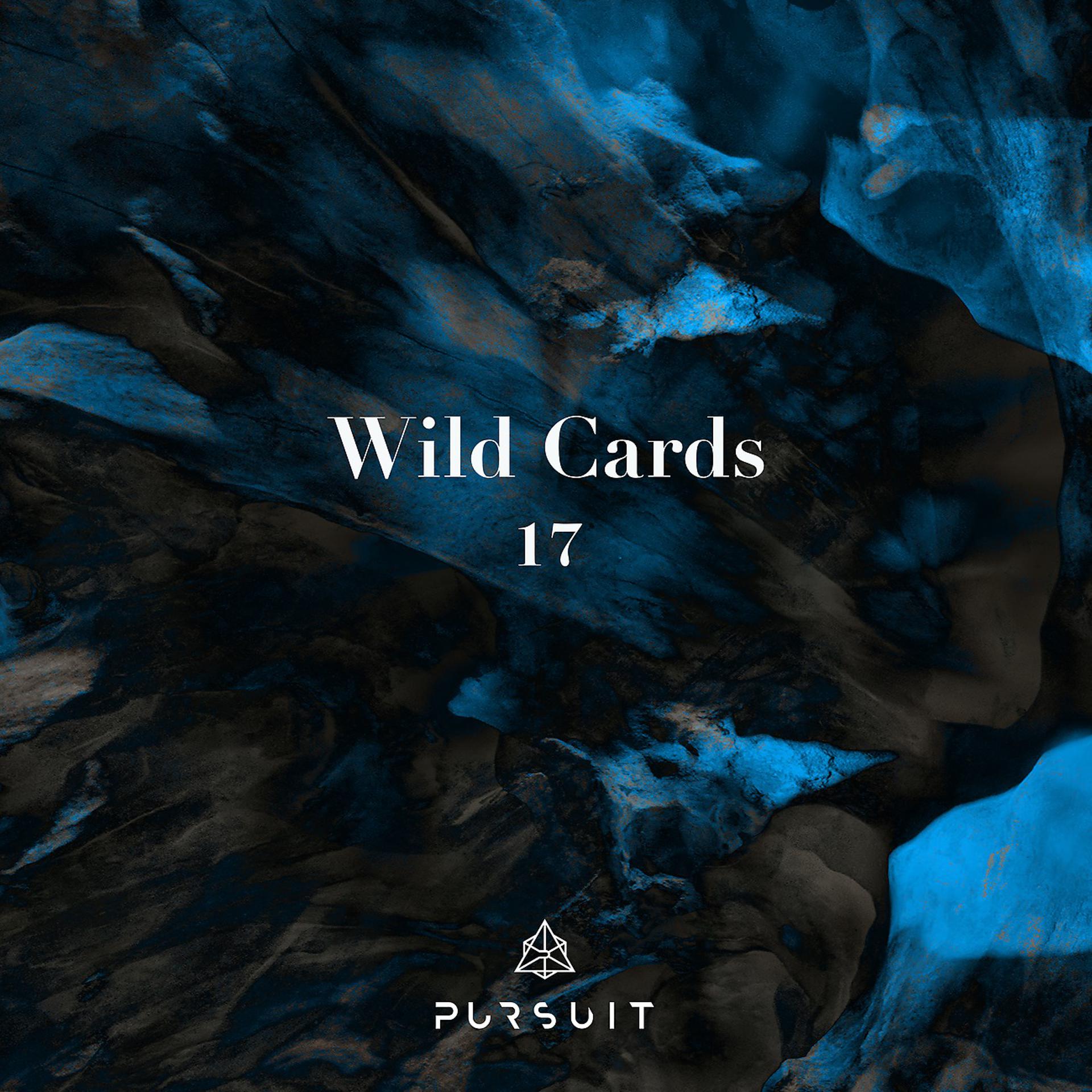 Постер альбома Wild Cards 17