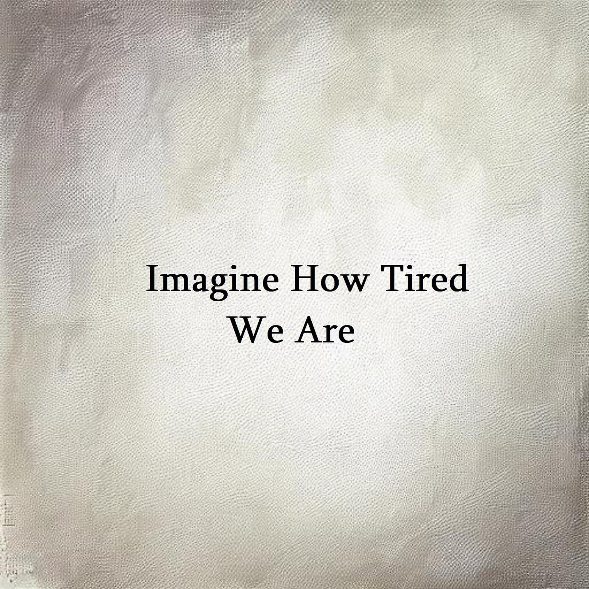Постер альбома Imagine How Tired We Are
