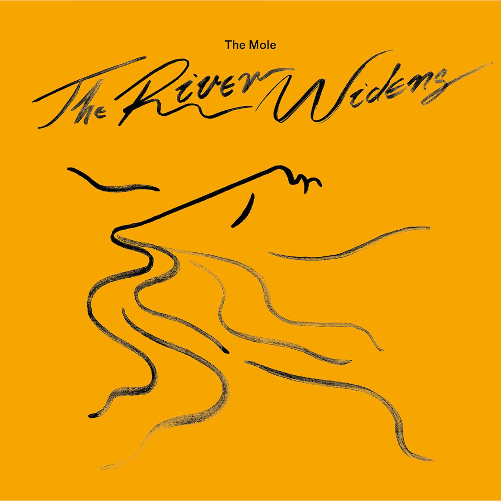 Постер альбома The River Widens