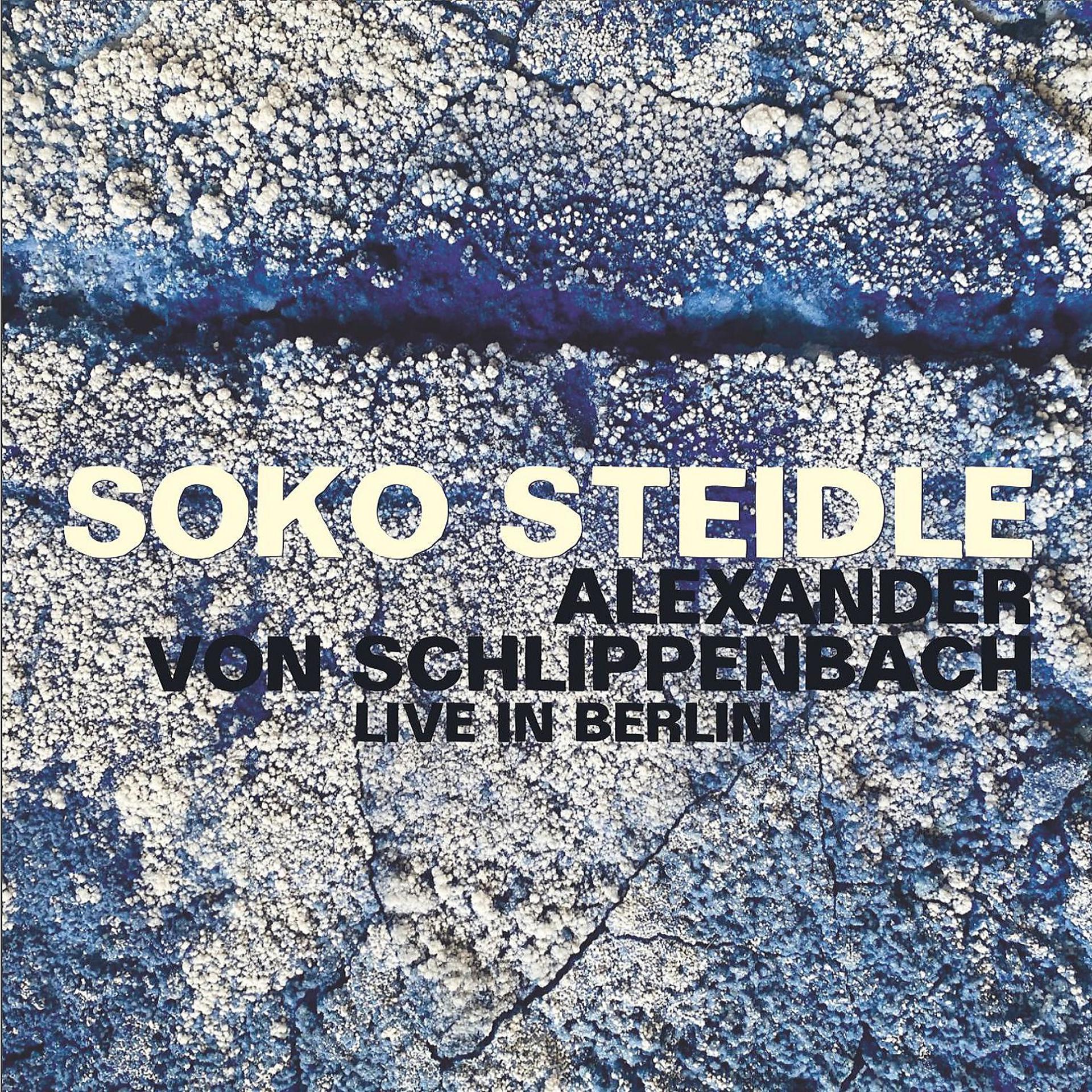 Постер альбома Live in Berlin