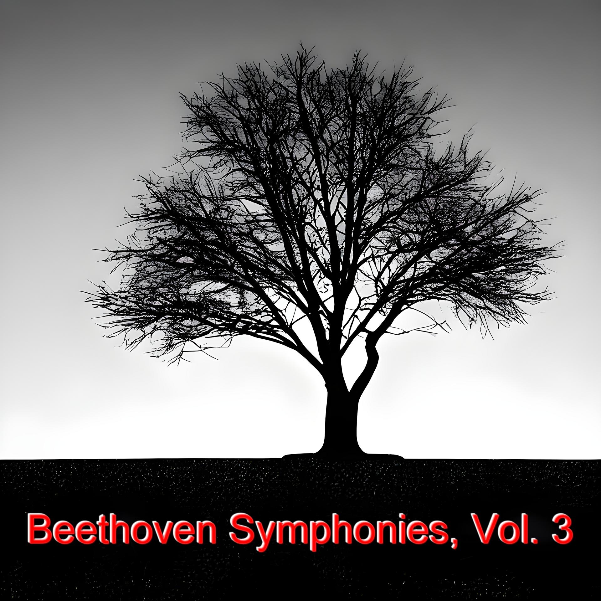 Постер альбома Beethoven symphonies, Vol. 3