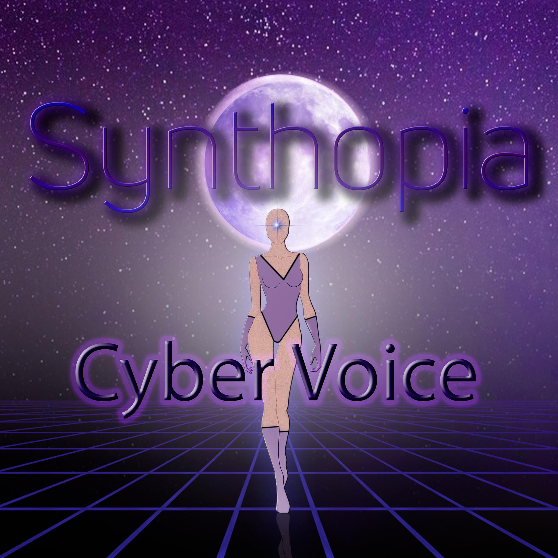 Постер альбома Cyber Voice