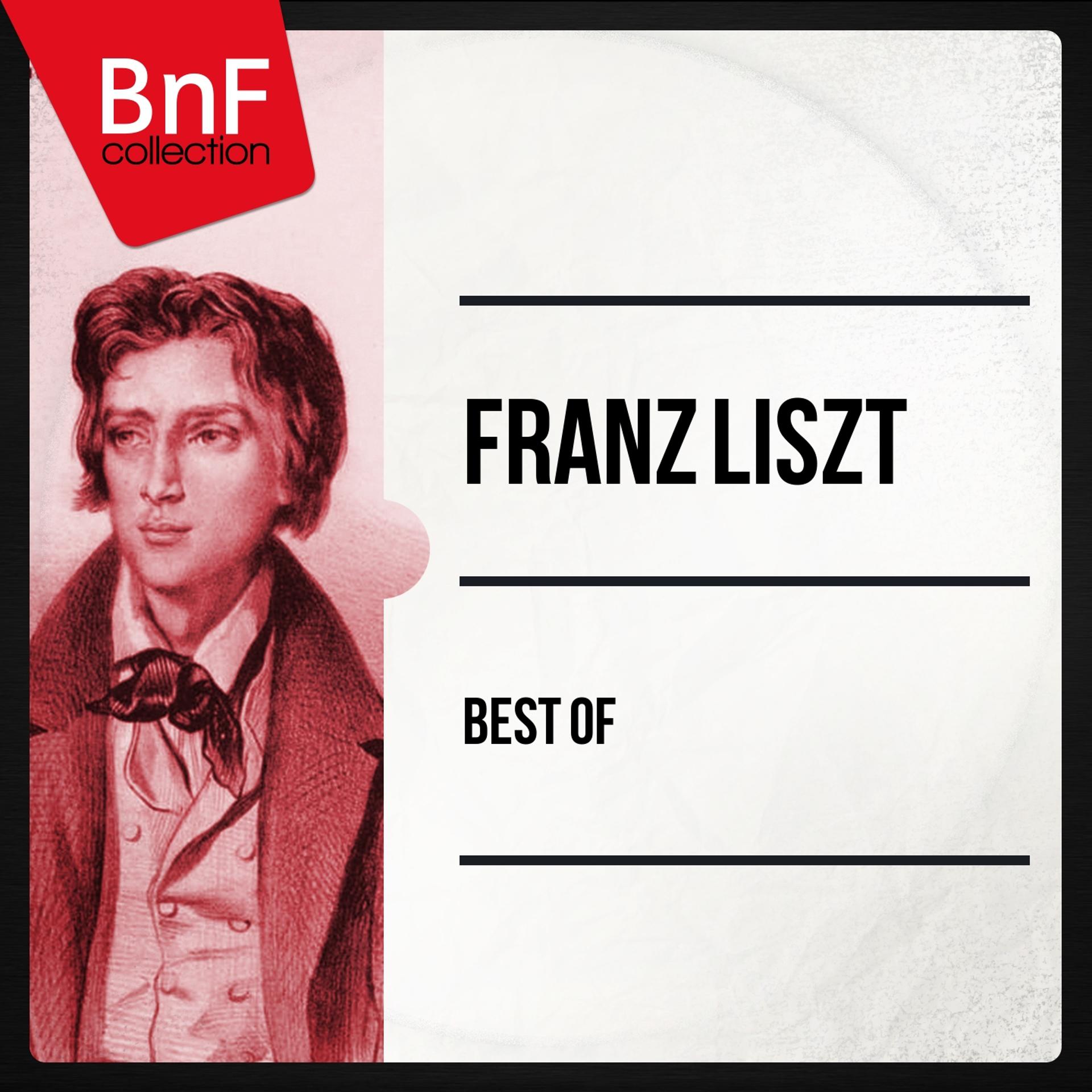 Постер альбома Best of Liszt