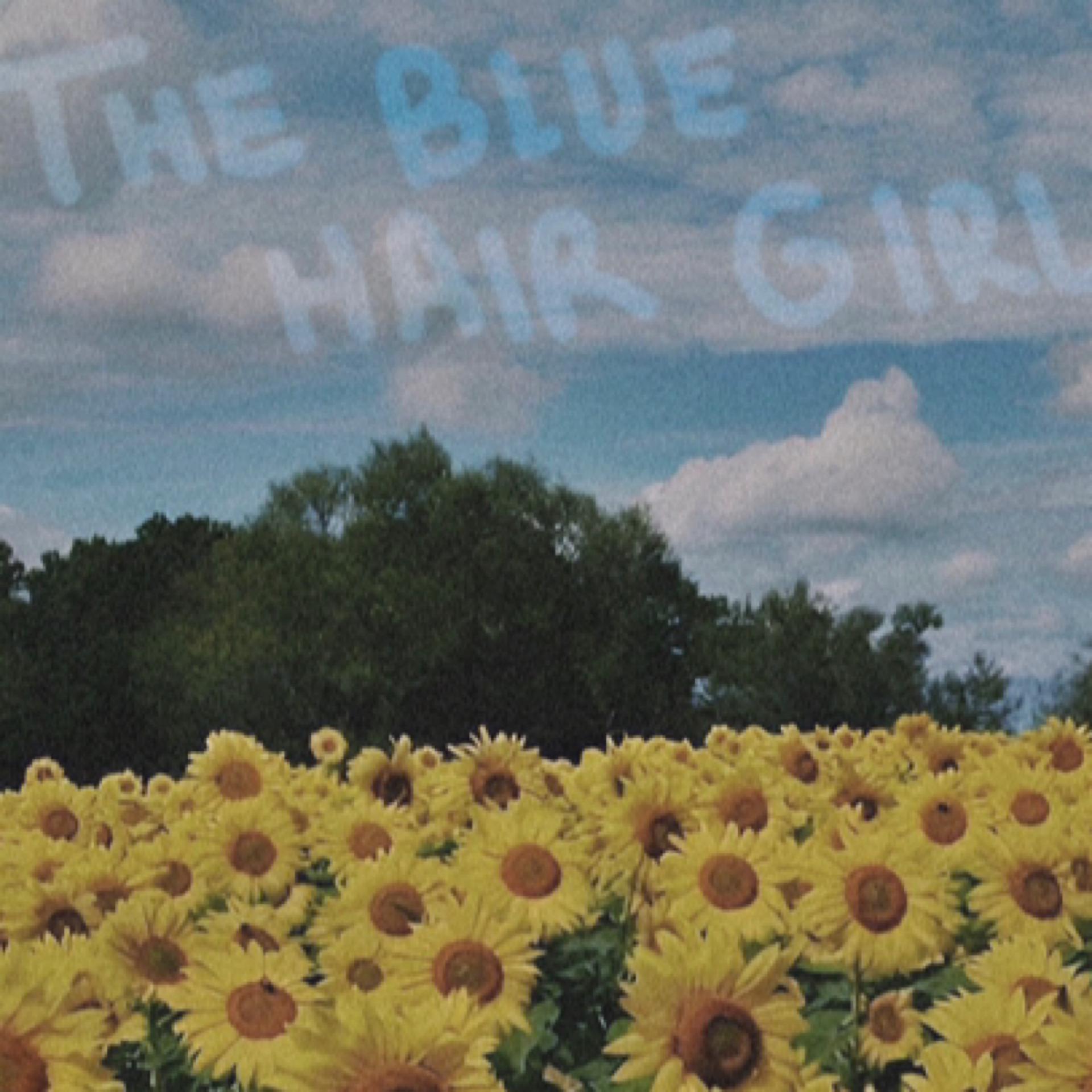 Постер альбома The Blue Hair Girl