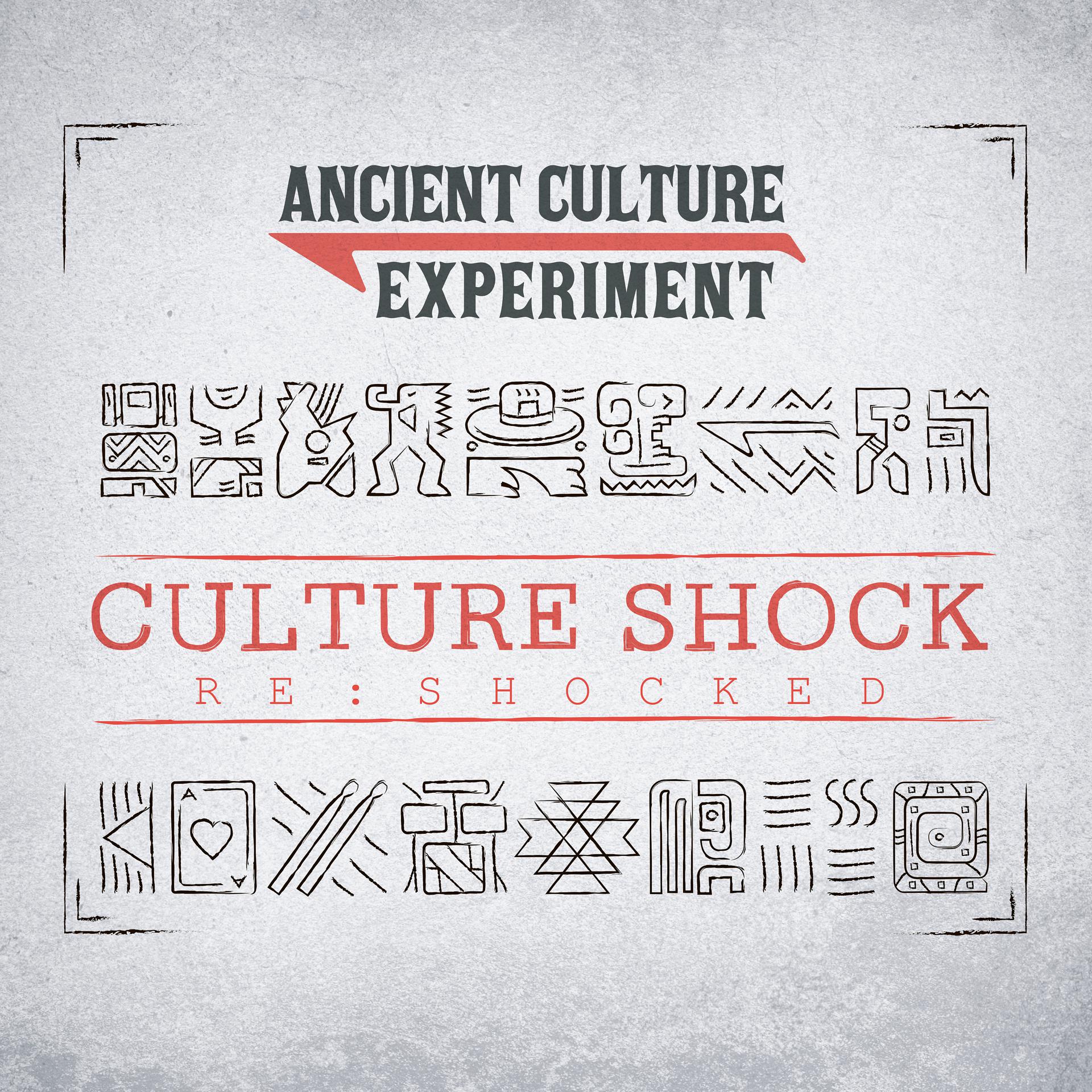 Постер альбома Culture Shock (RE:Shocked)