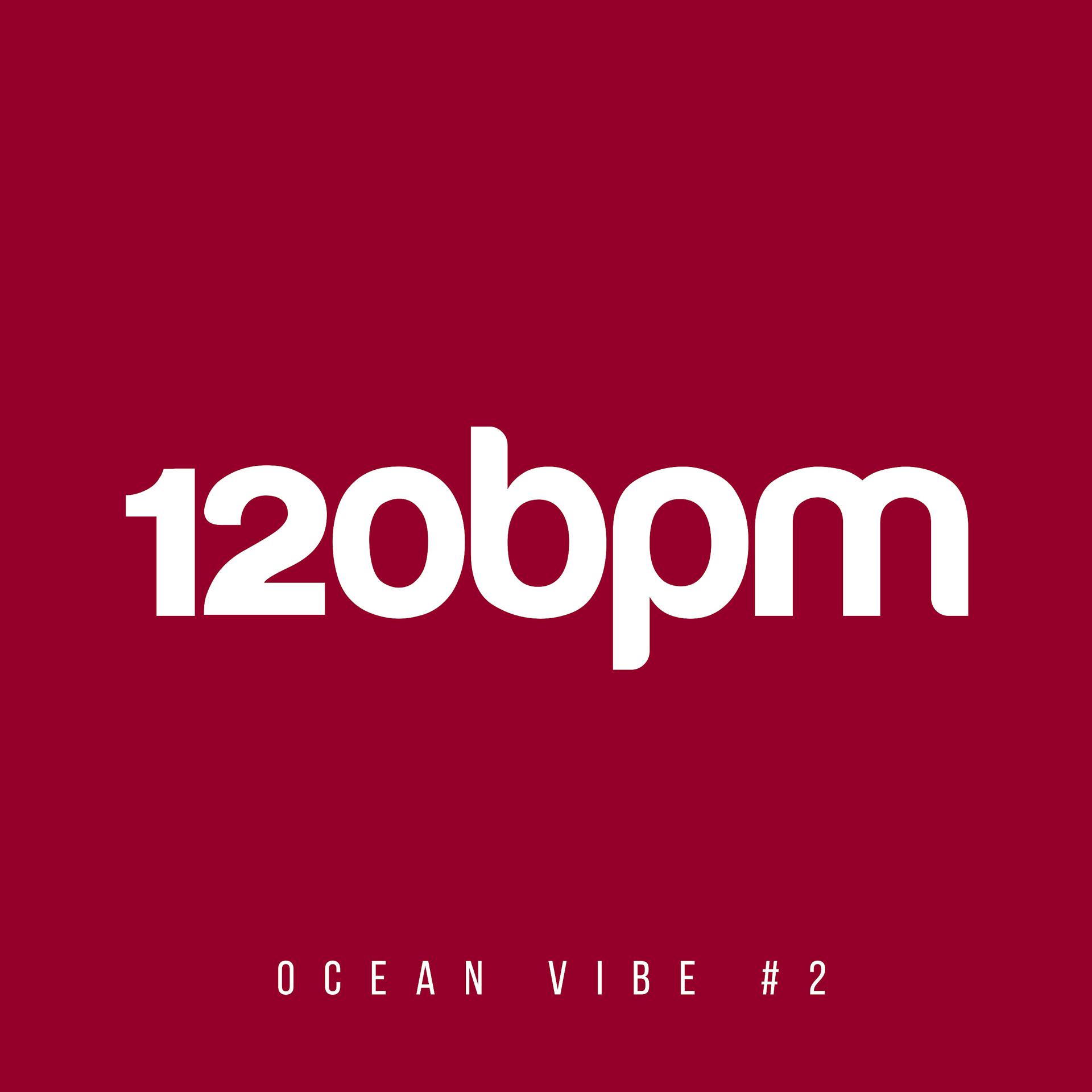 Постер альбома Ocean Vibe, Vol. 2