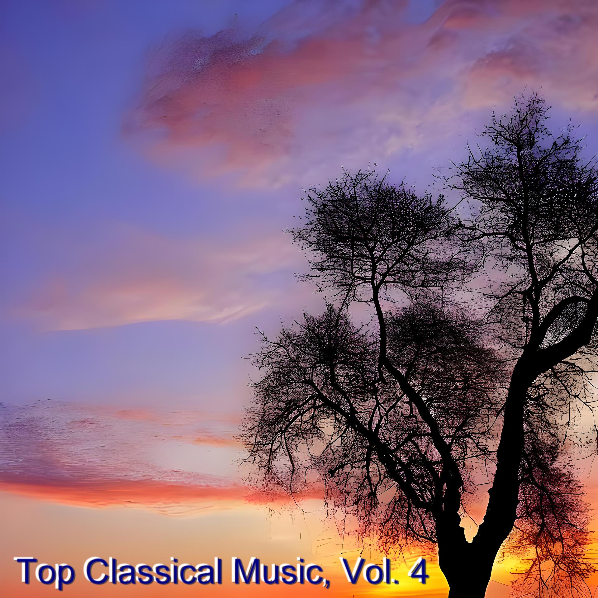 Постер альбома Top classical music, Vol. 4