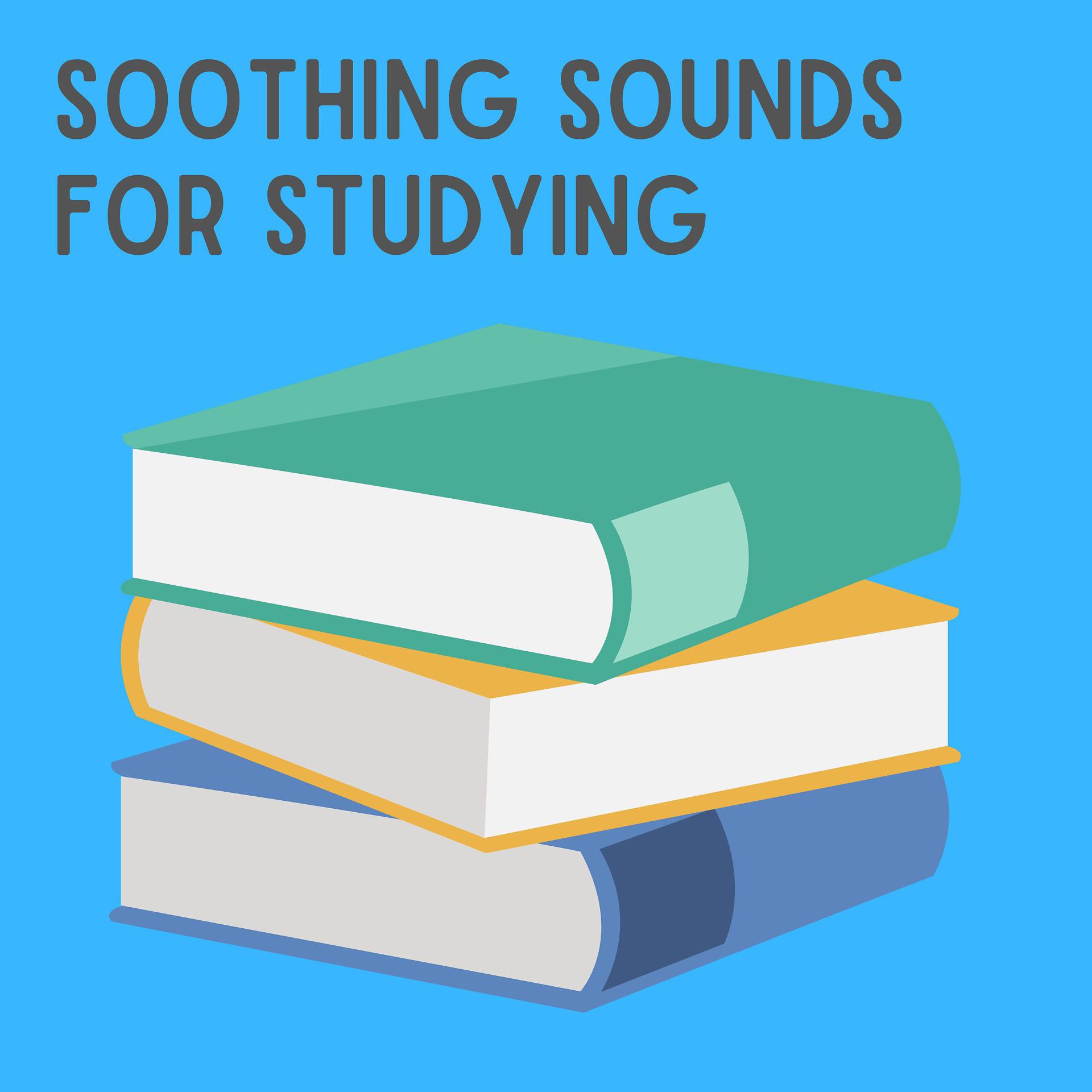 Постер альбома Soothing Sounds for Studying