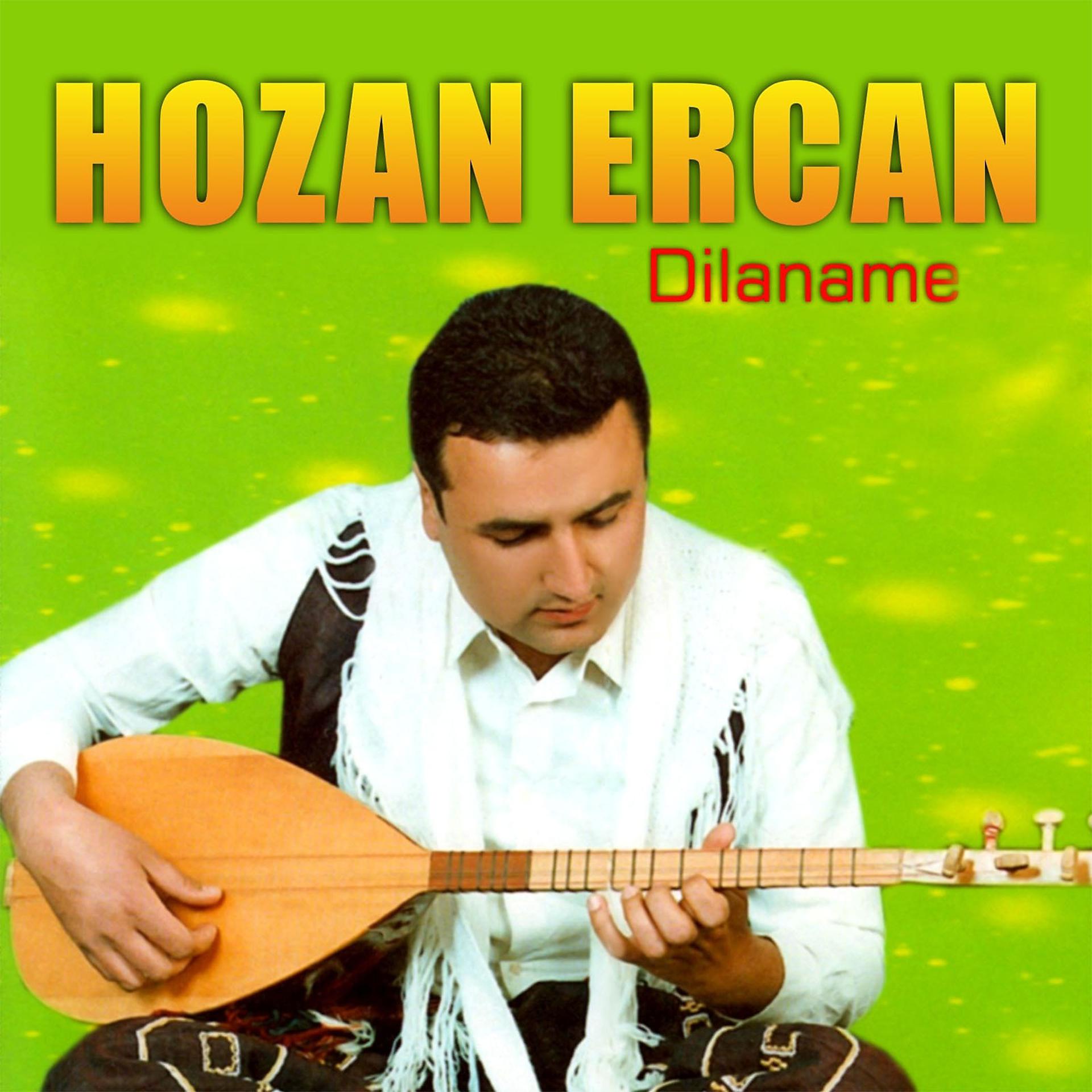Постер альбома Dilaname