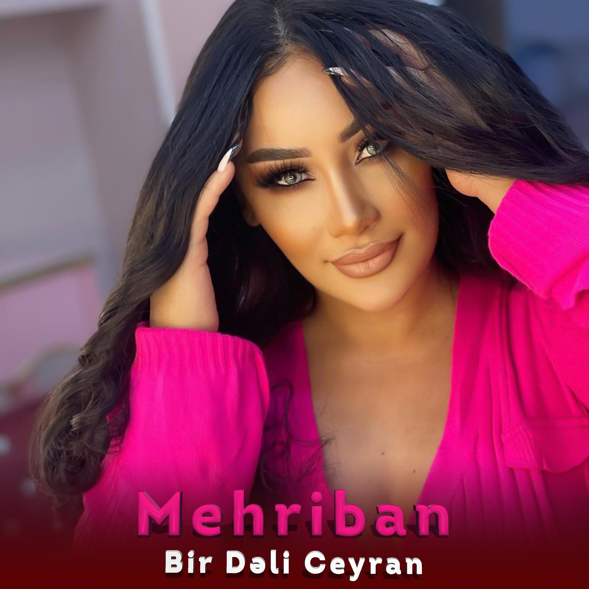 Постер альбома Bir Dəli Ceyran