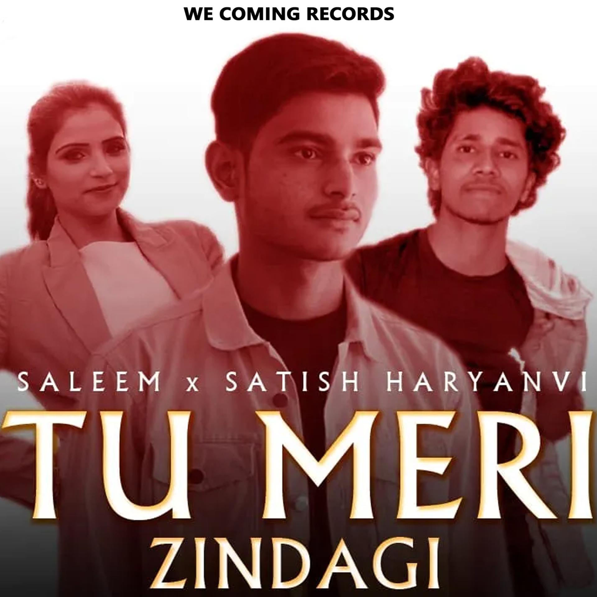 Постер альбома Tu Meri Zindagi