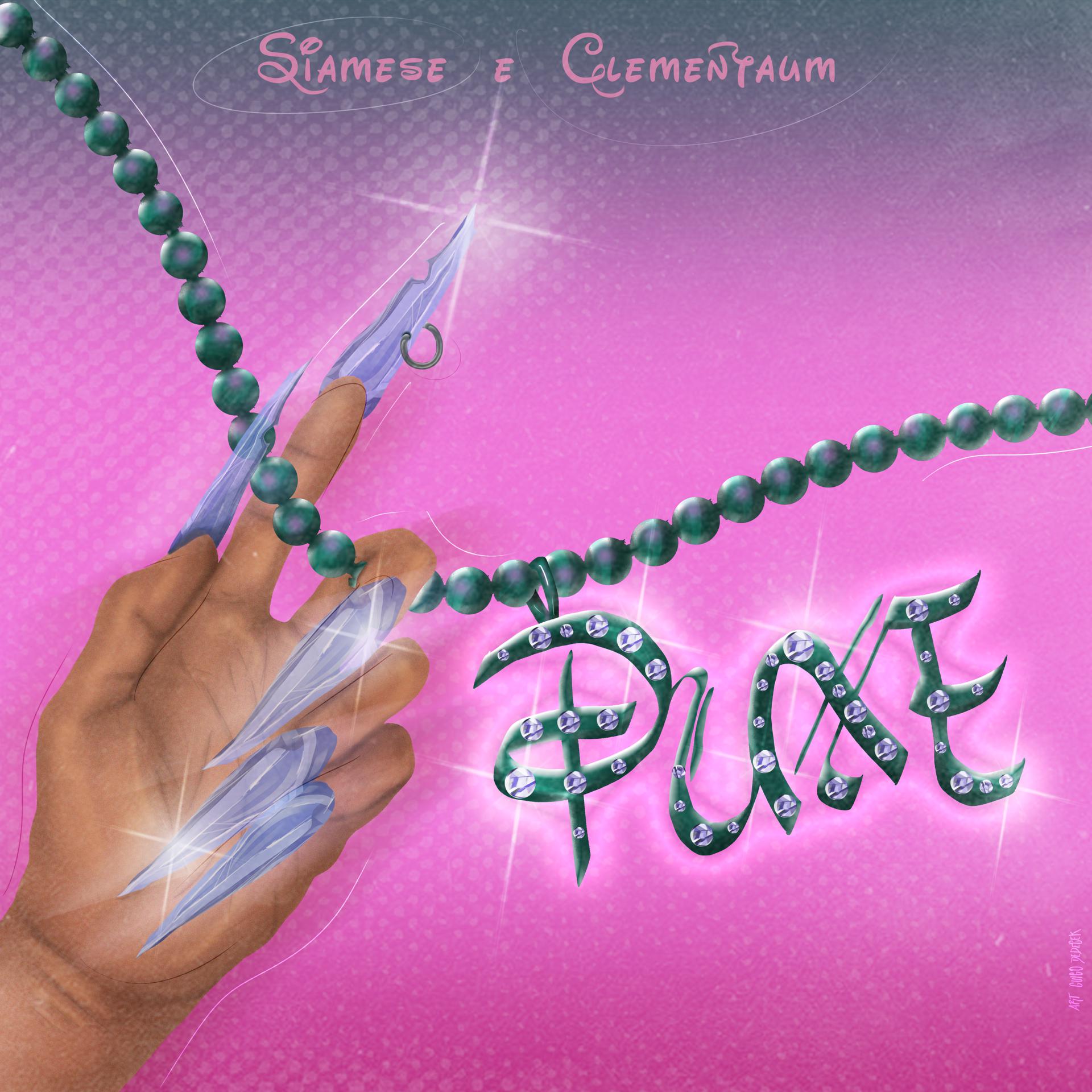 Постер альбома Puxe