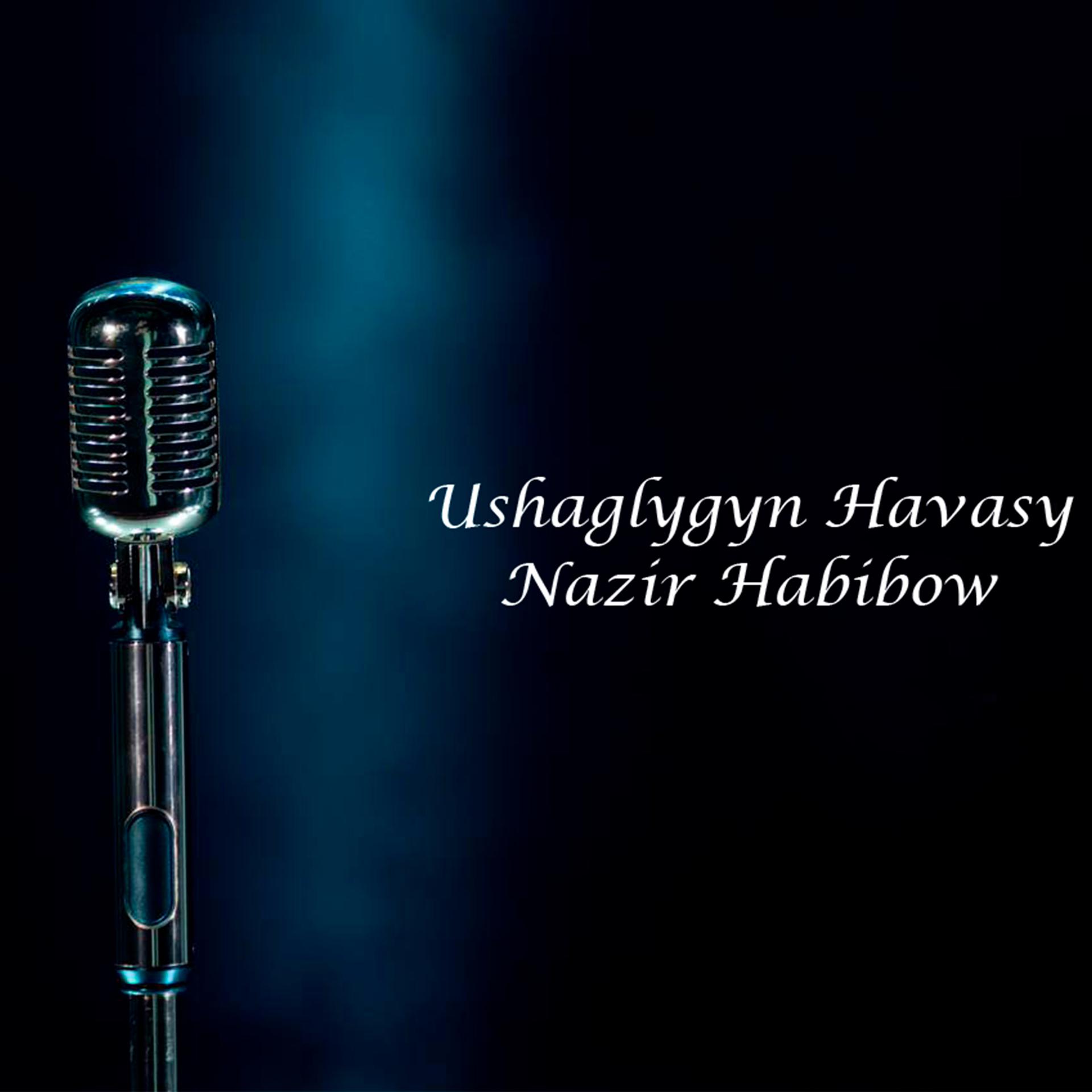 Постер альбома Ushaglygyn Havasy