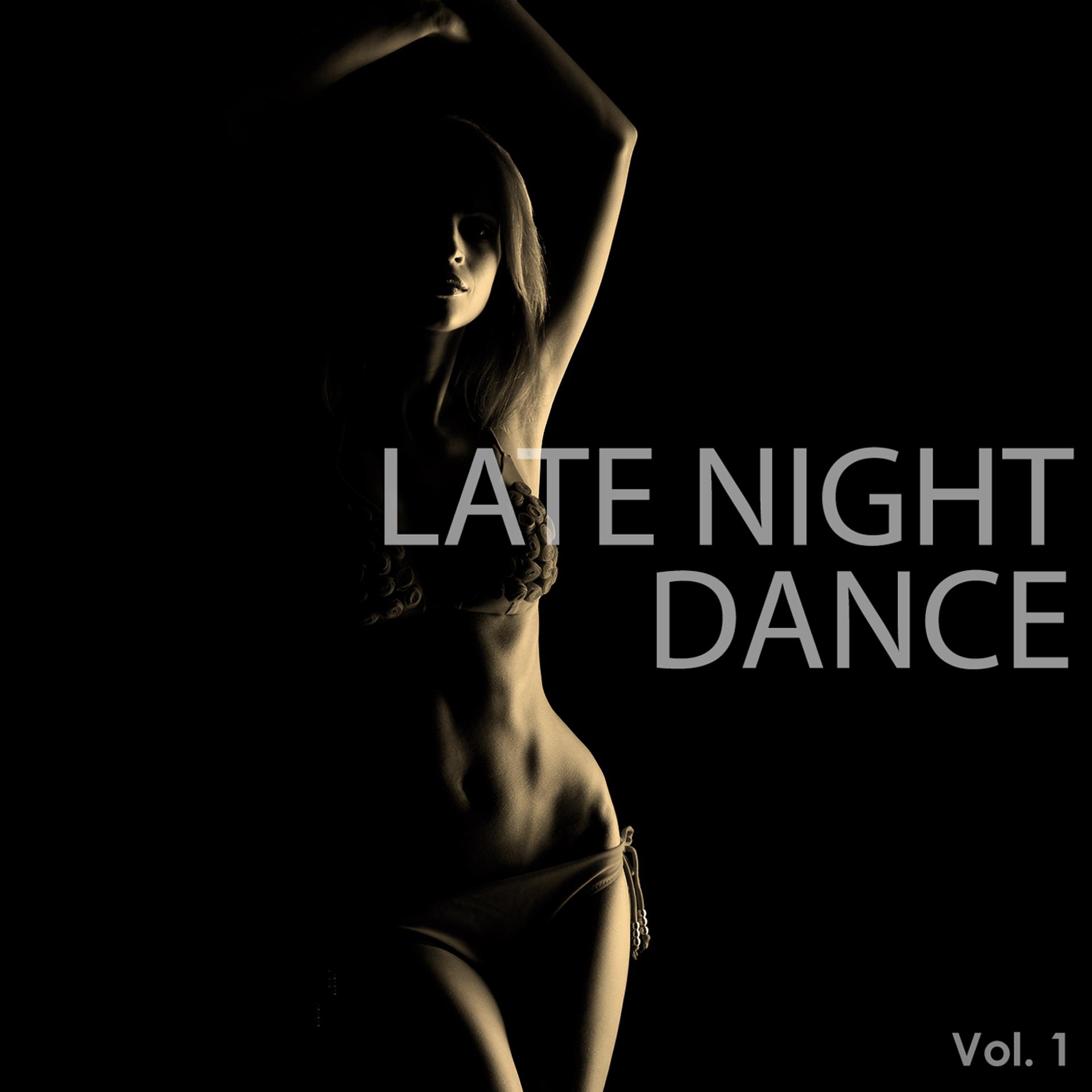 Постер альбома Late Night Dance, Vol. 1