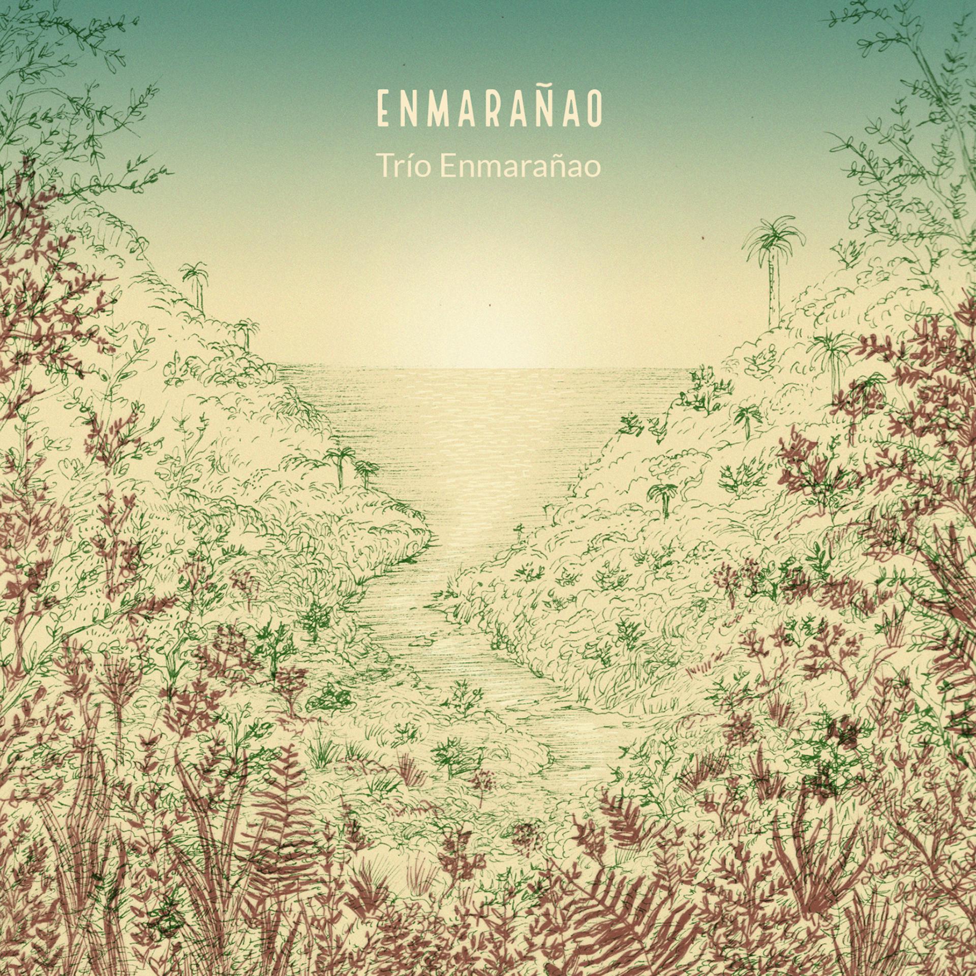 Постер альбома Enmarañao