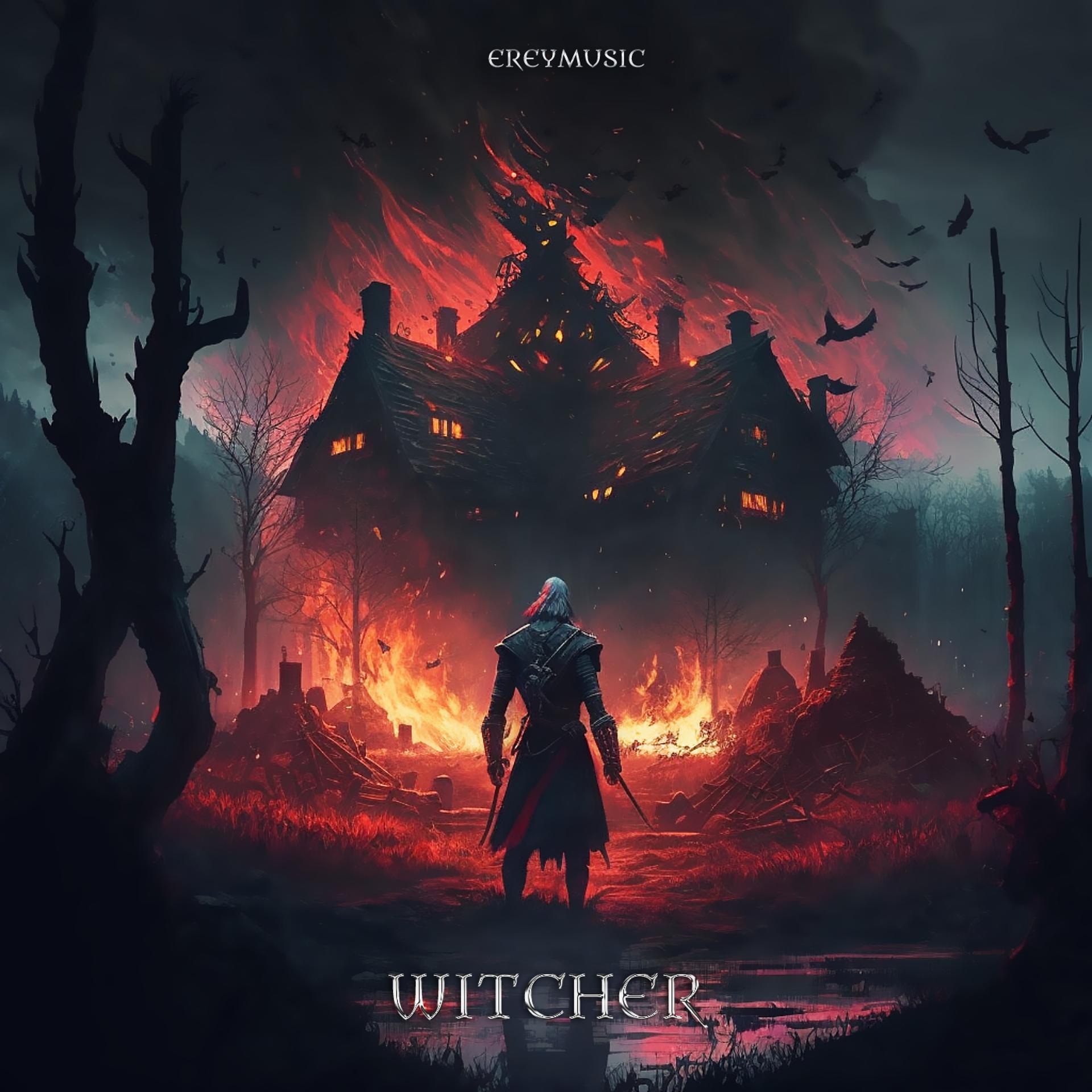 Постер альбома Witcher