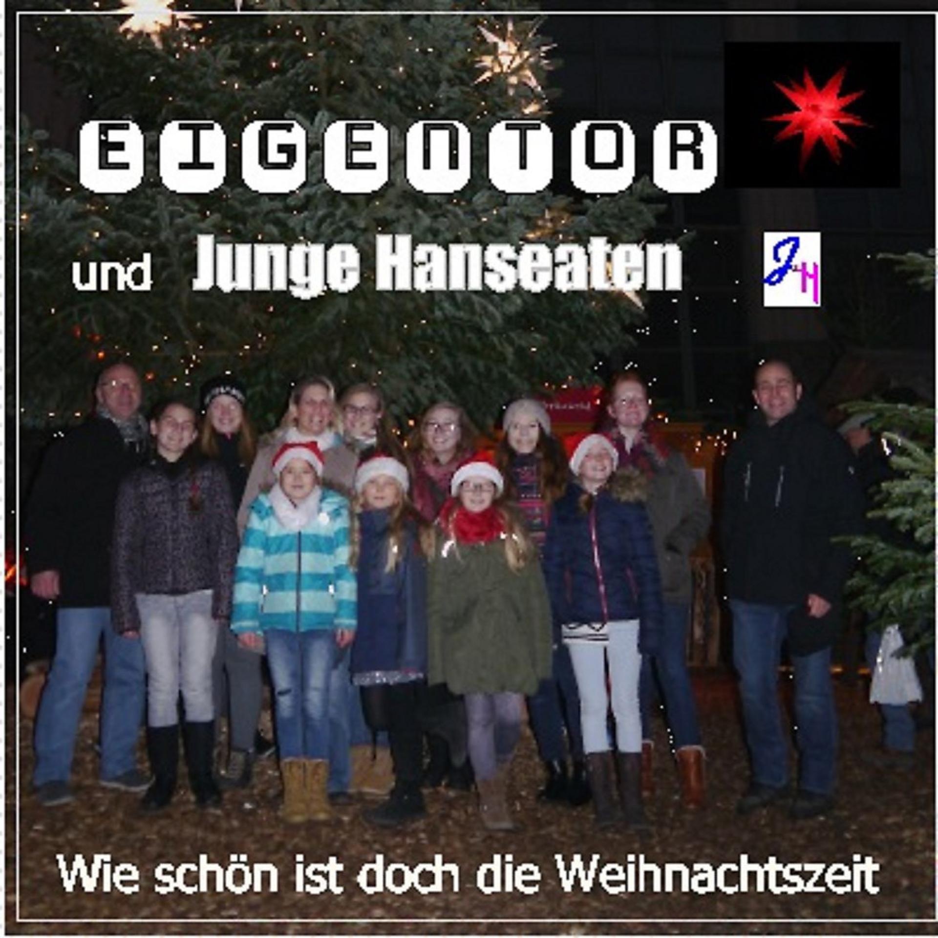 Постер альбома Wie schön ist doch die Weihnachtszeit