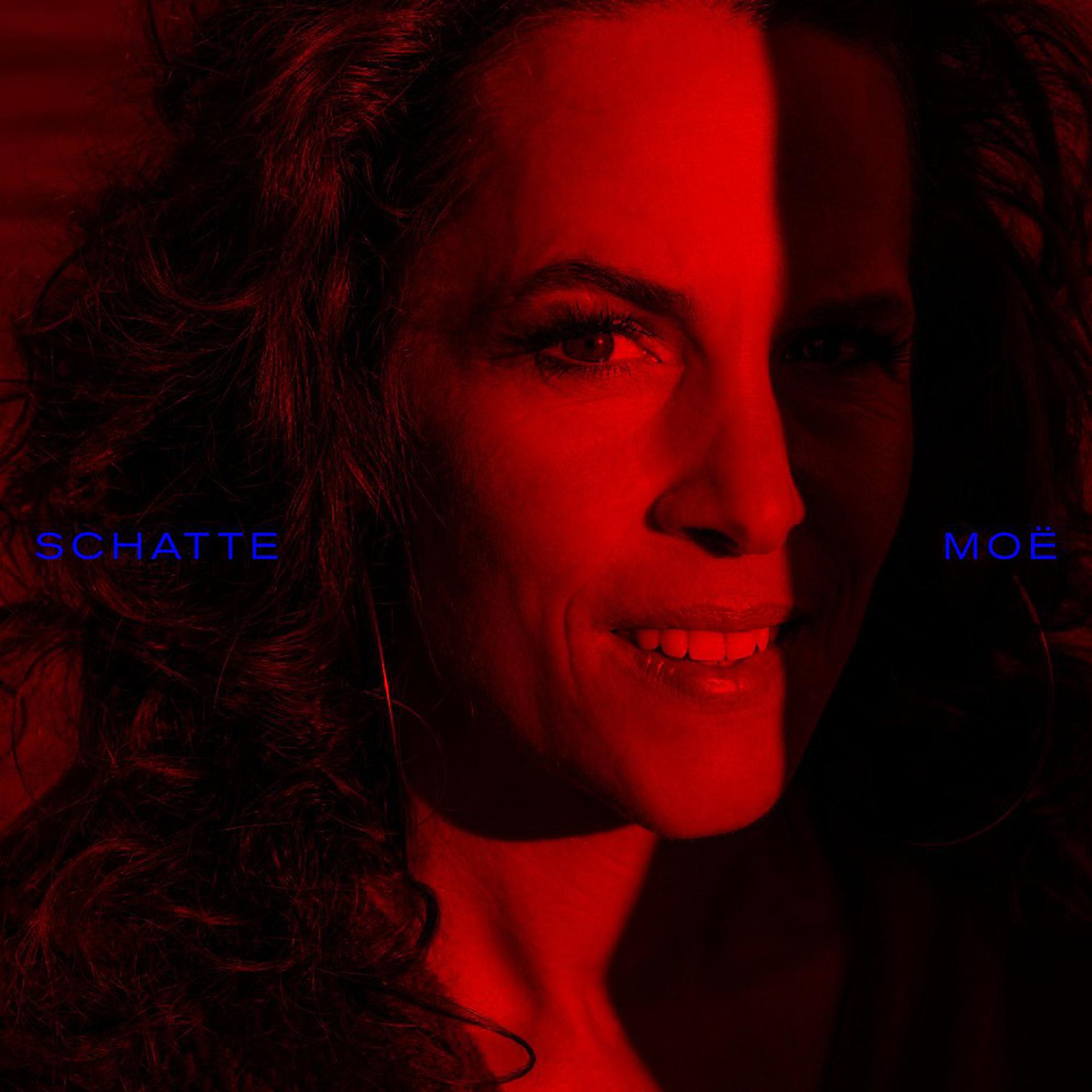 Постер альбома Schatte