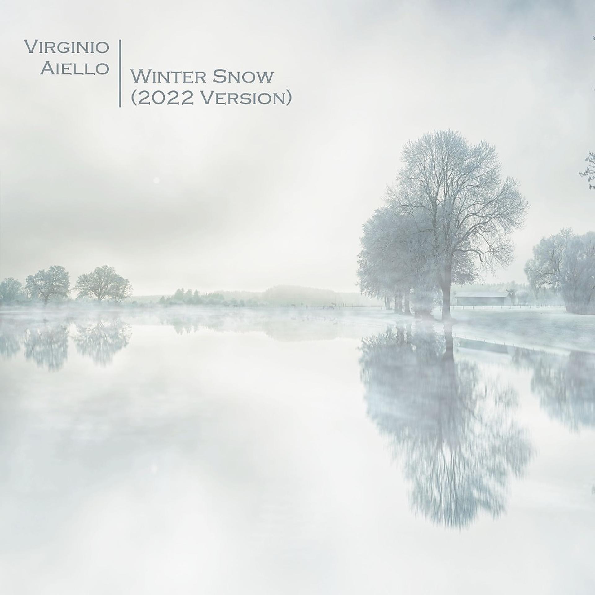 Постер альбома Winter Snow (2022 Version)