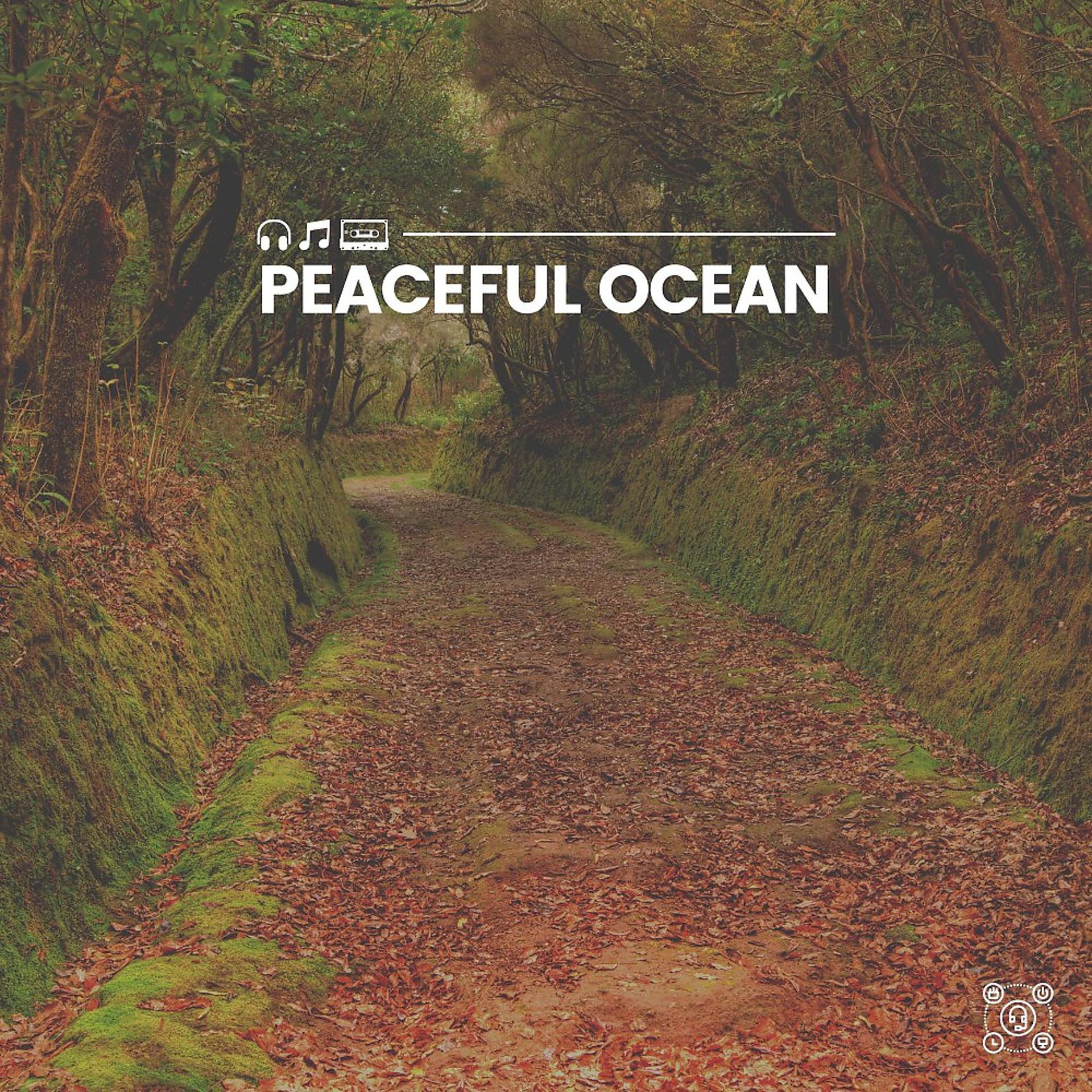 Постер альбома Peaceful Ocean