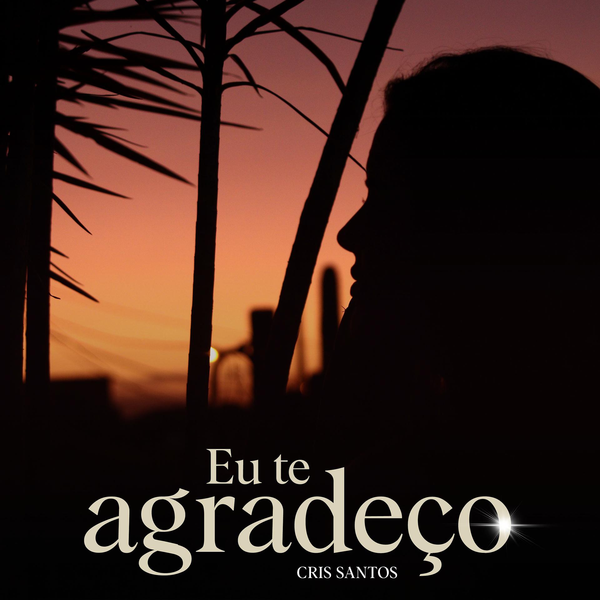 Постер альбома Eu Te Agradeço
