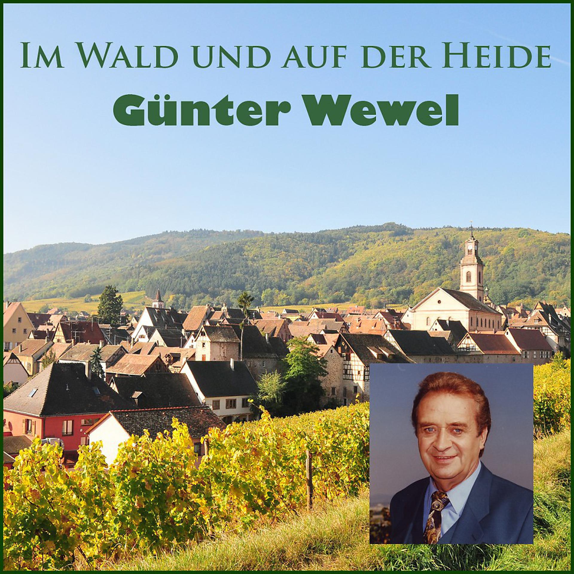 Постер альбома Im Wald und auf der Heide