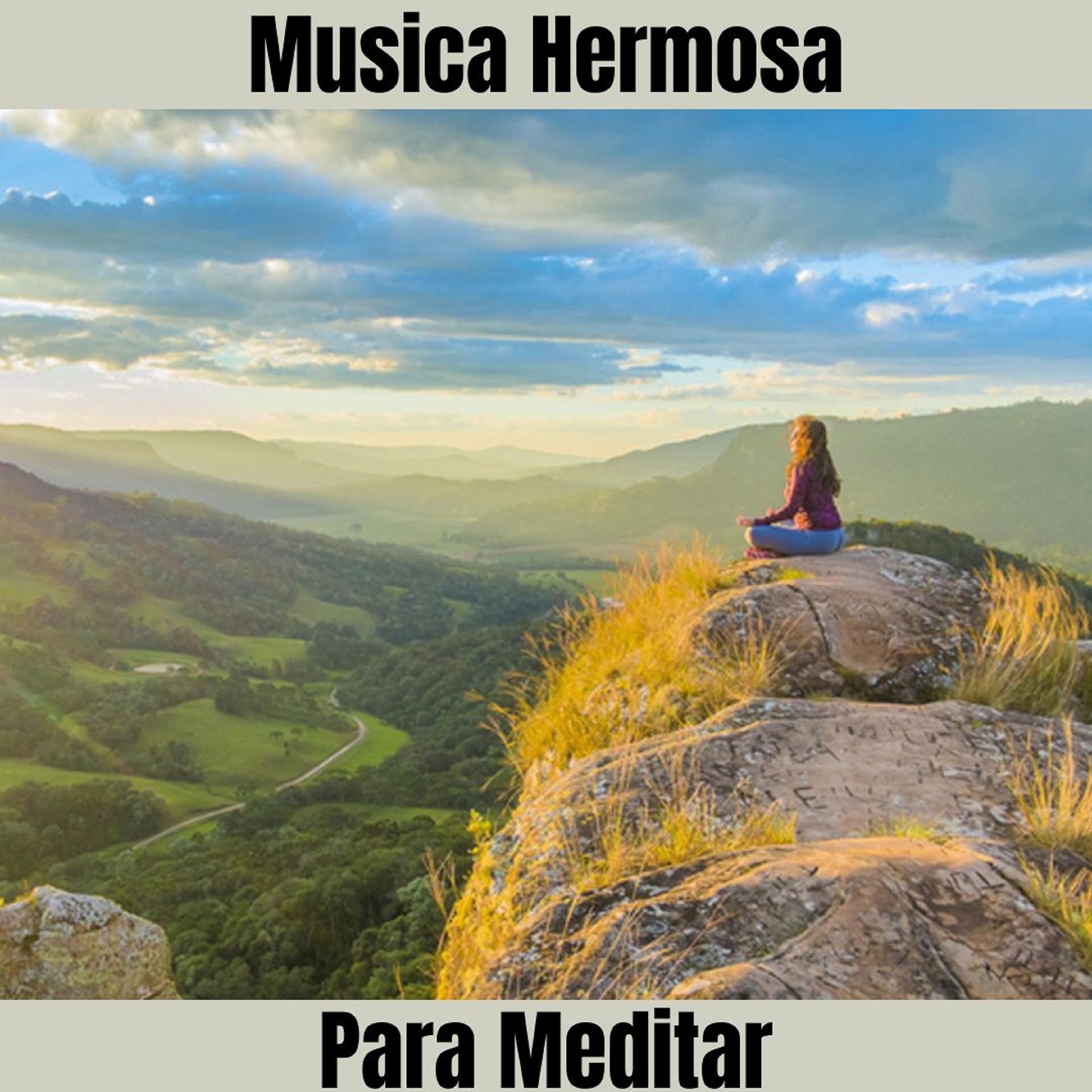 Постер альбома Musica Hermosa Para Meditar