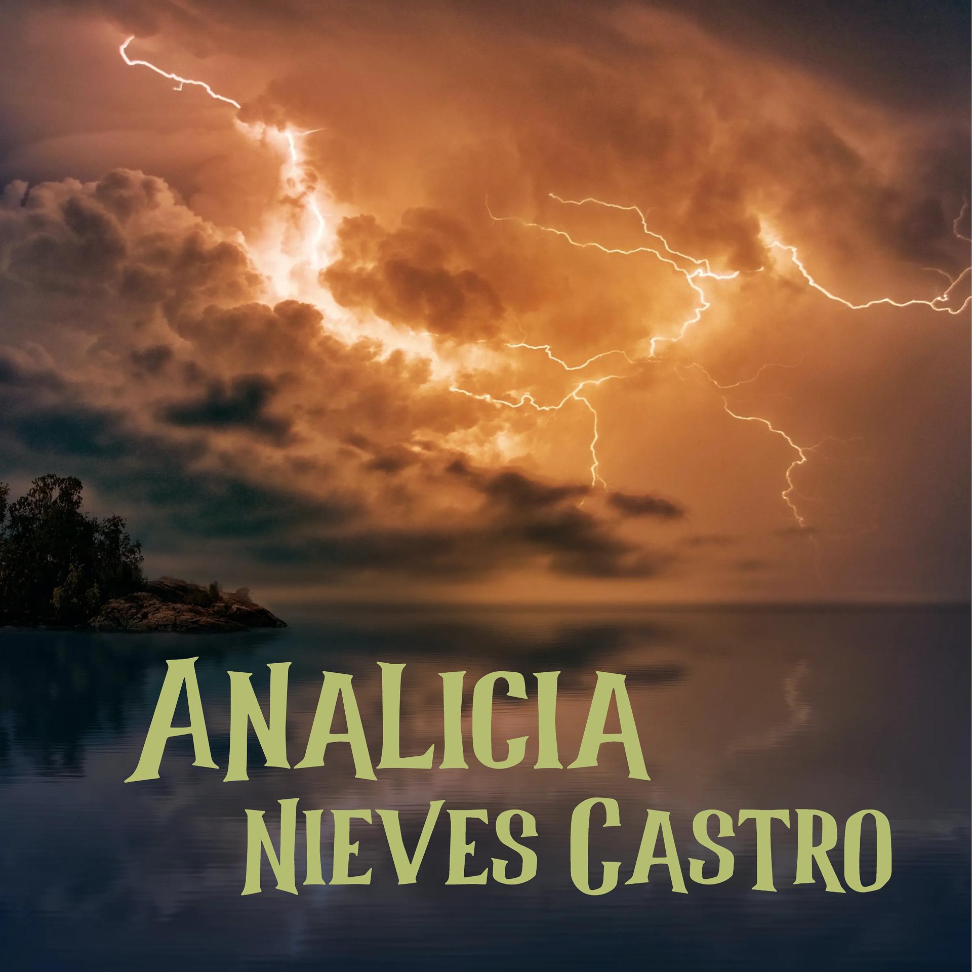 Постер альбома Analicia