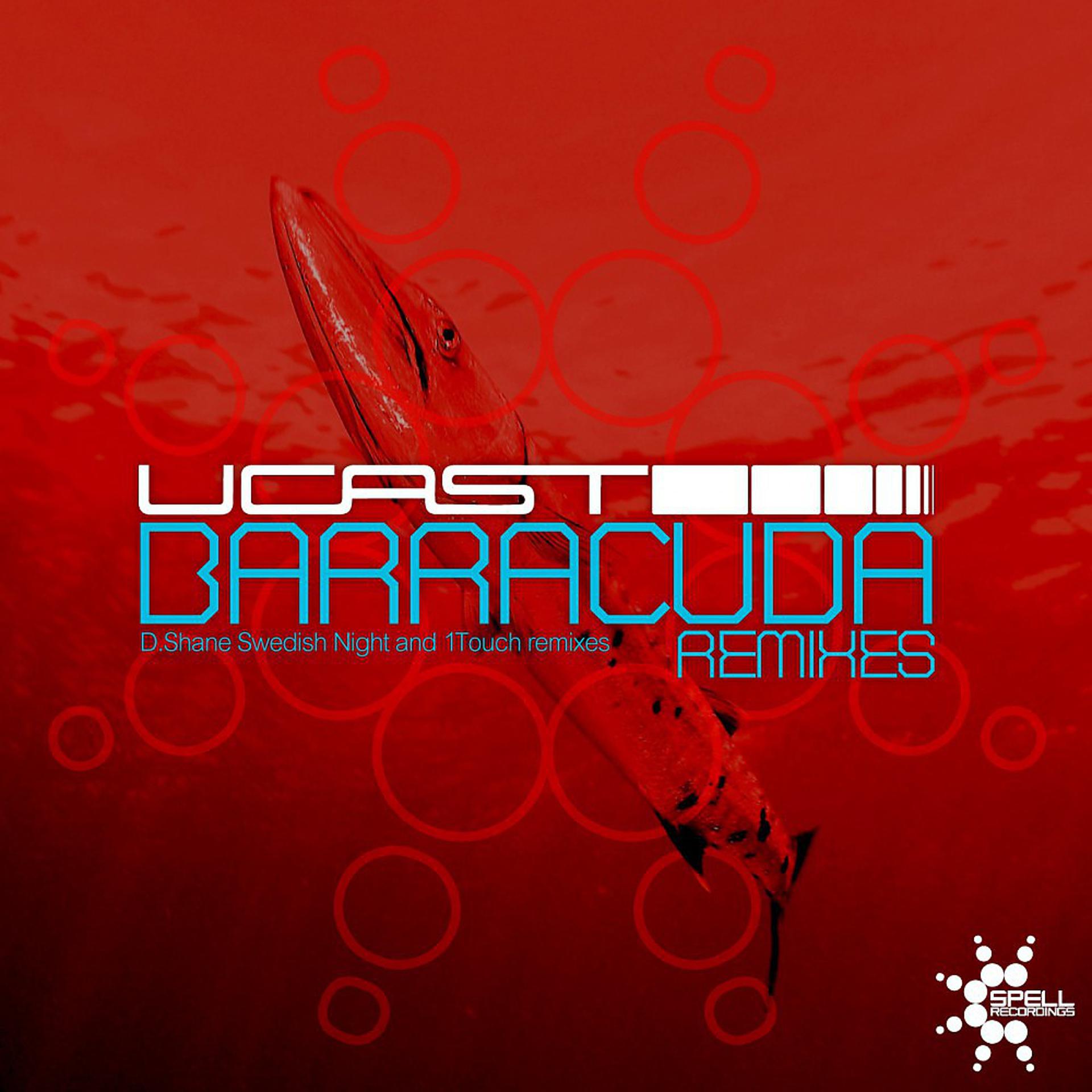 Постер альбома Barracuda (Remixes)