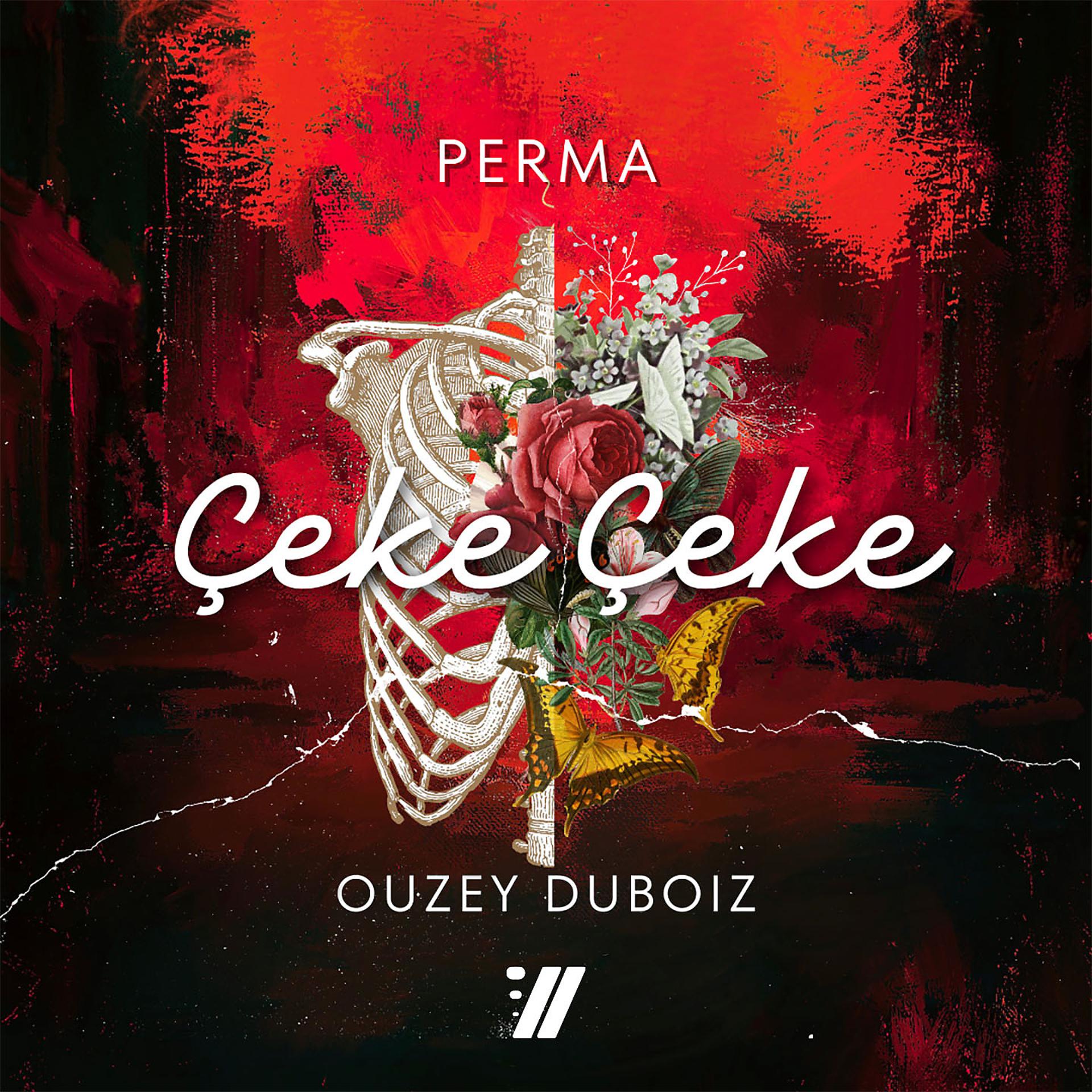 Постер альбома Çeke Çeke