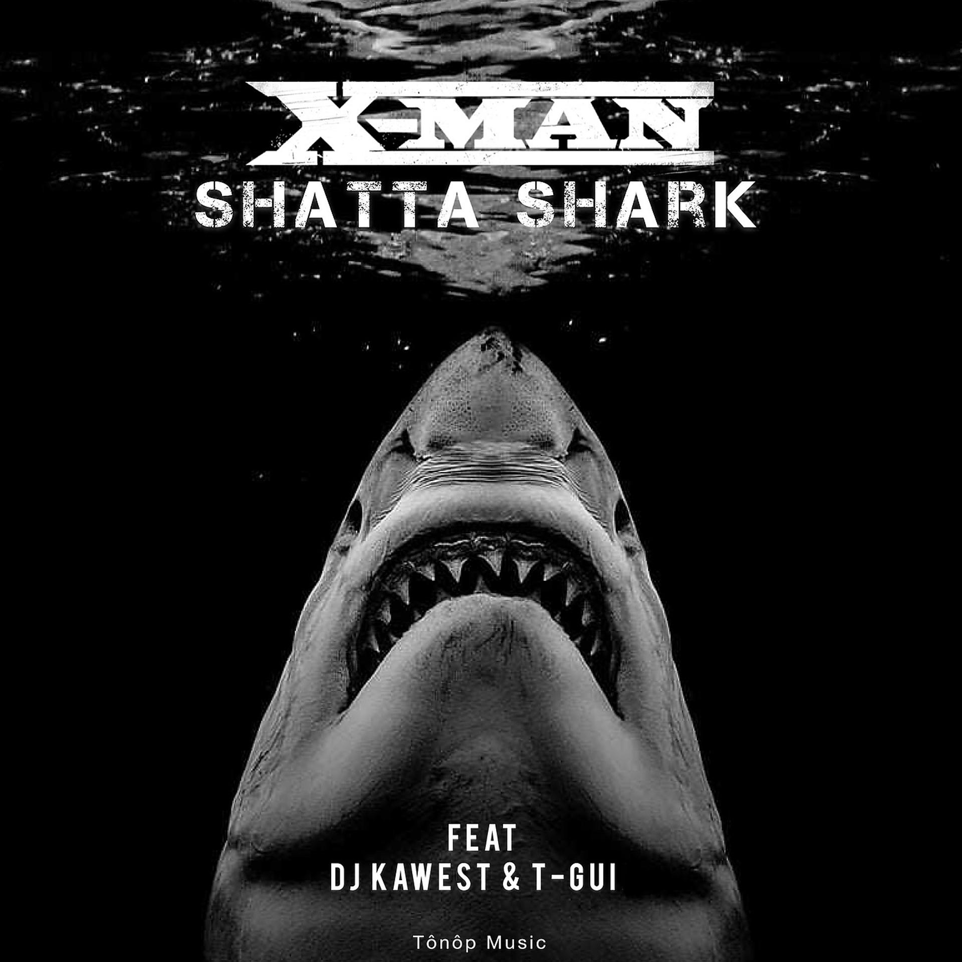 Постер альбома Shatta Shark