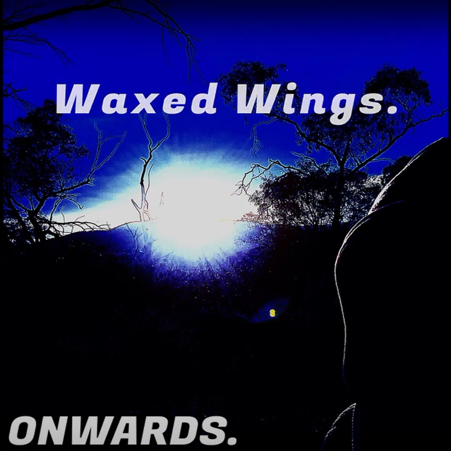 Постер альбома Waxed Wings