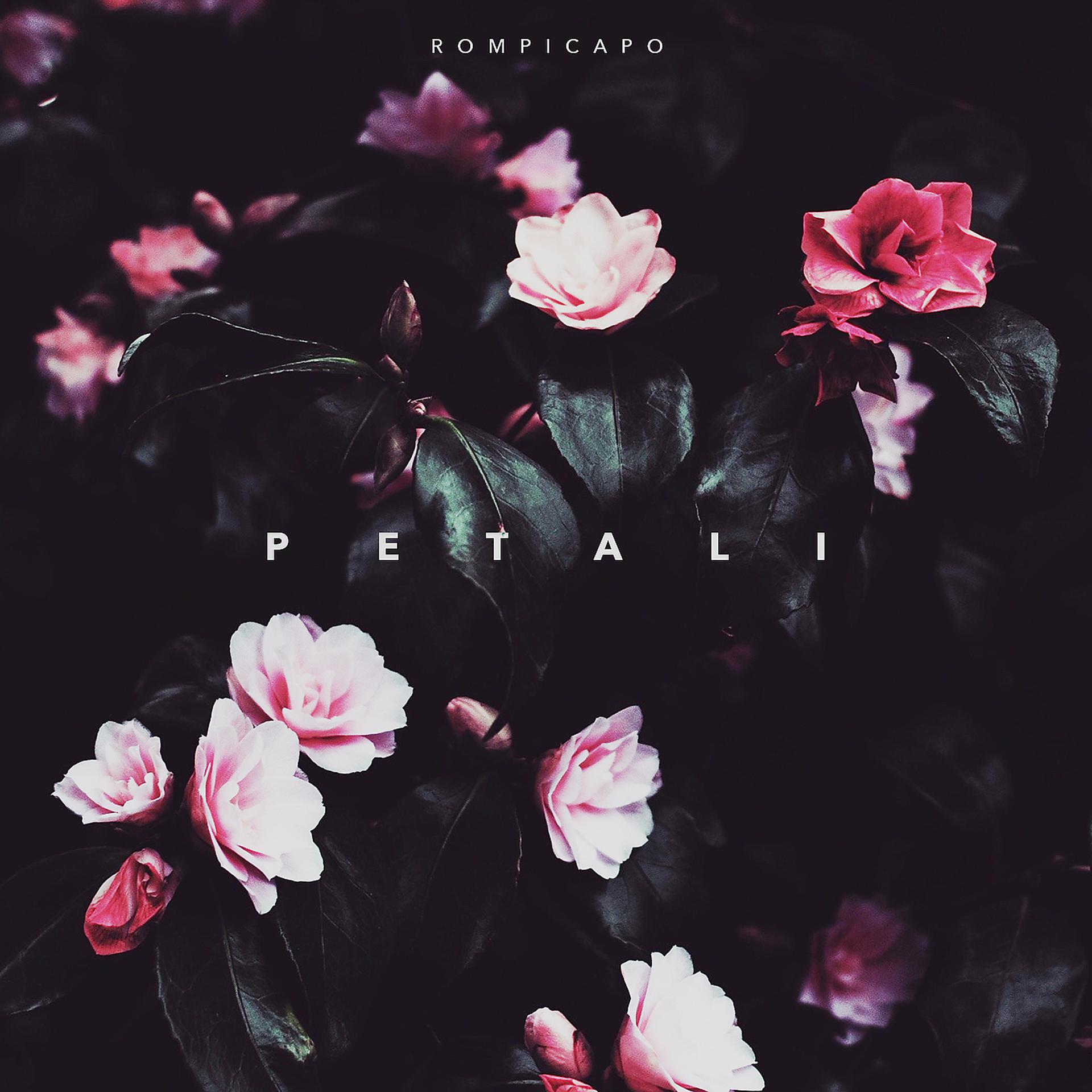 Постер альбома Petali