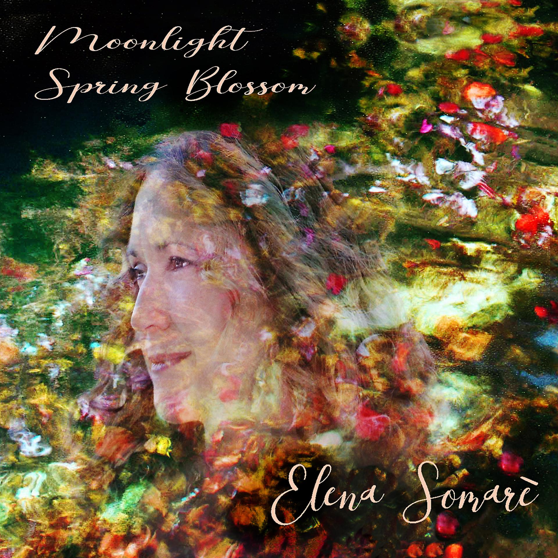 Постер альбома Moonlight Spring Blossom