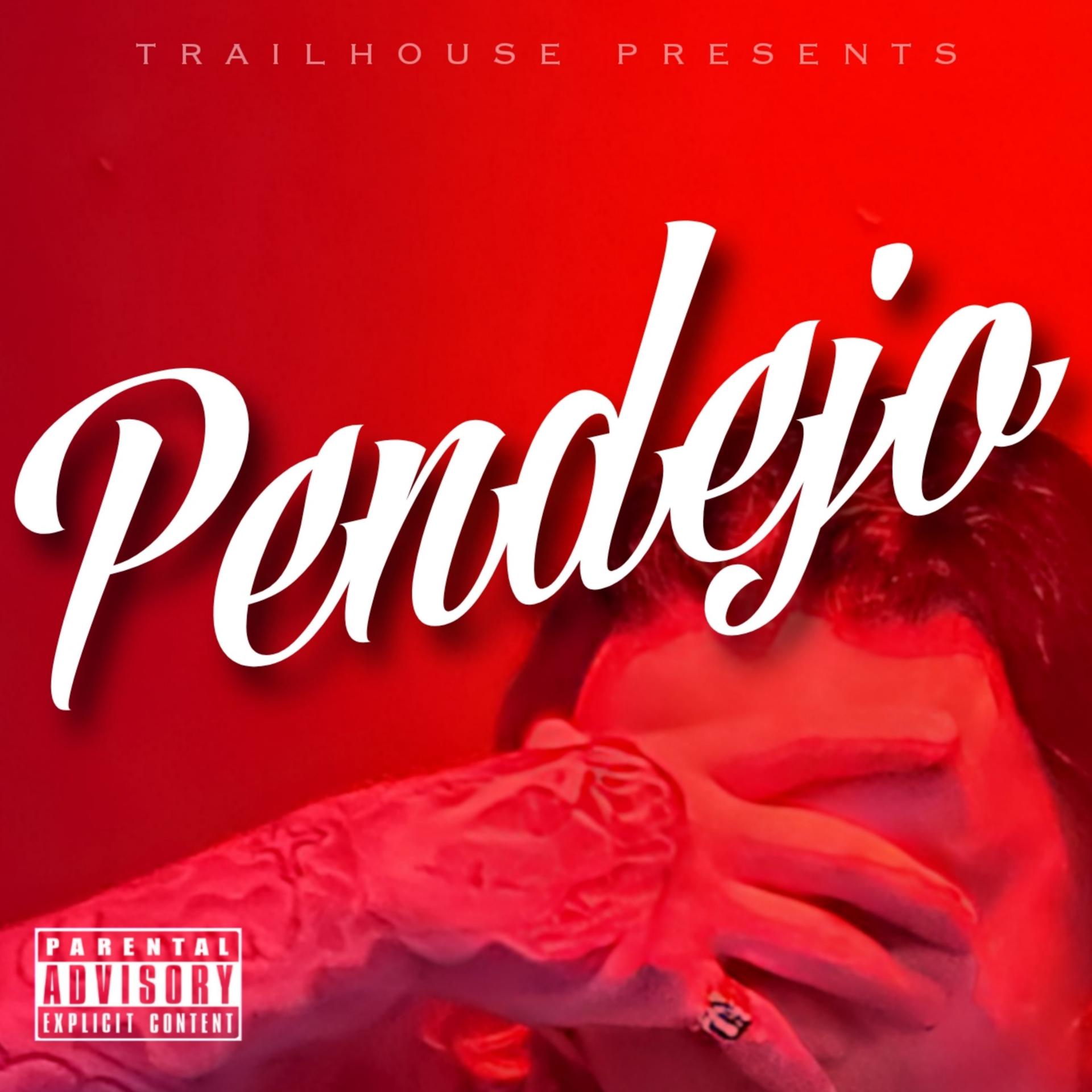 Постер альбома Pendejo