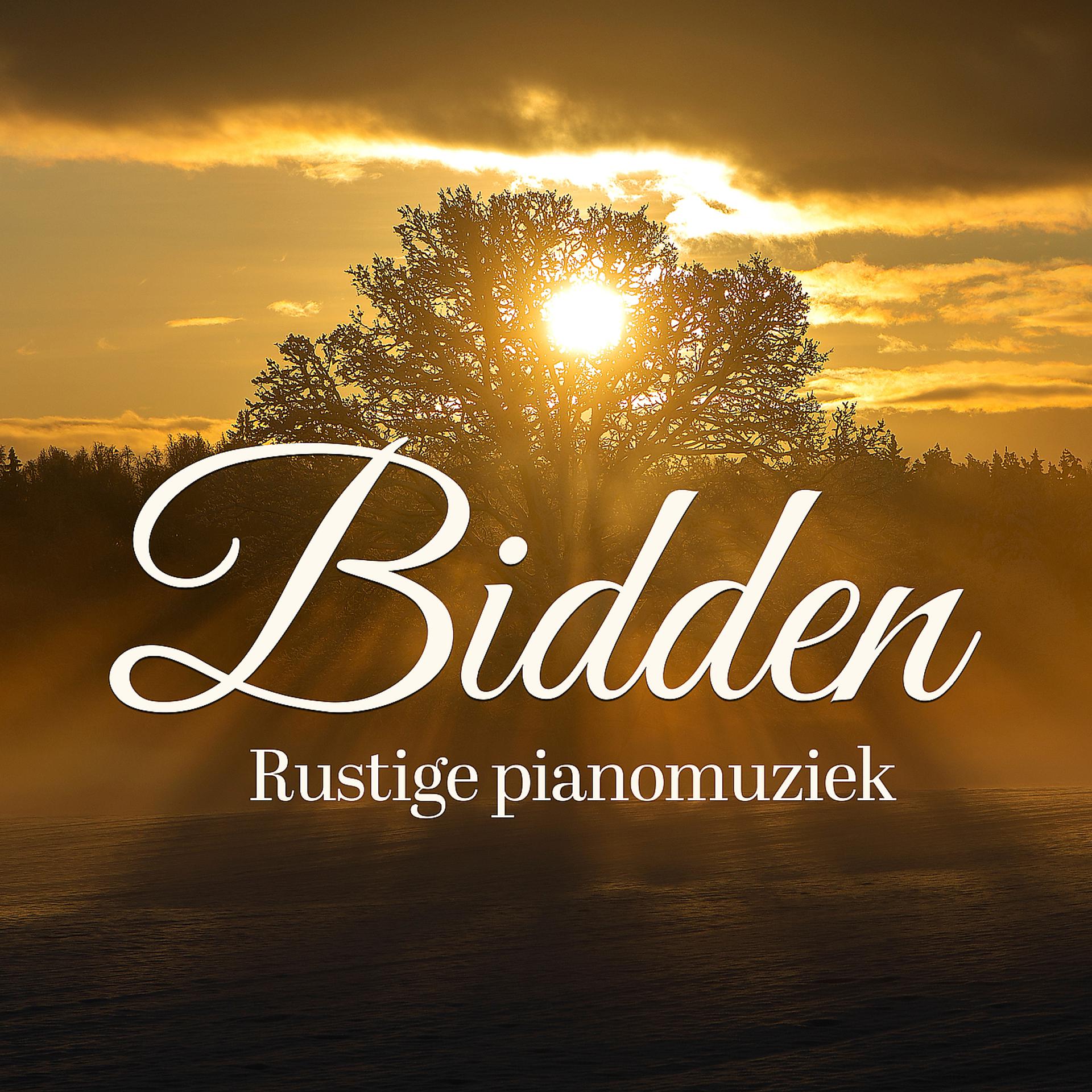 Постер альбома Bidden (Rustige Pianomuziek)