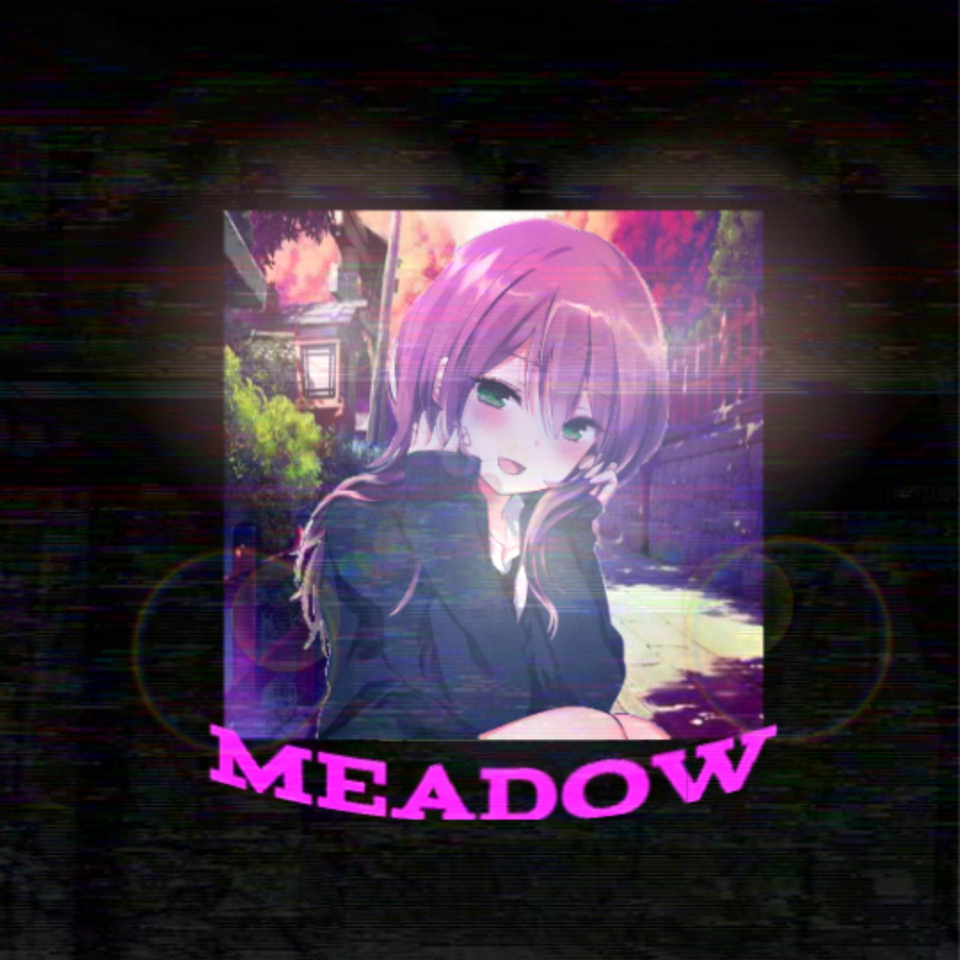 Постер альбома MEADOW