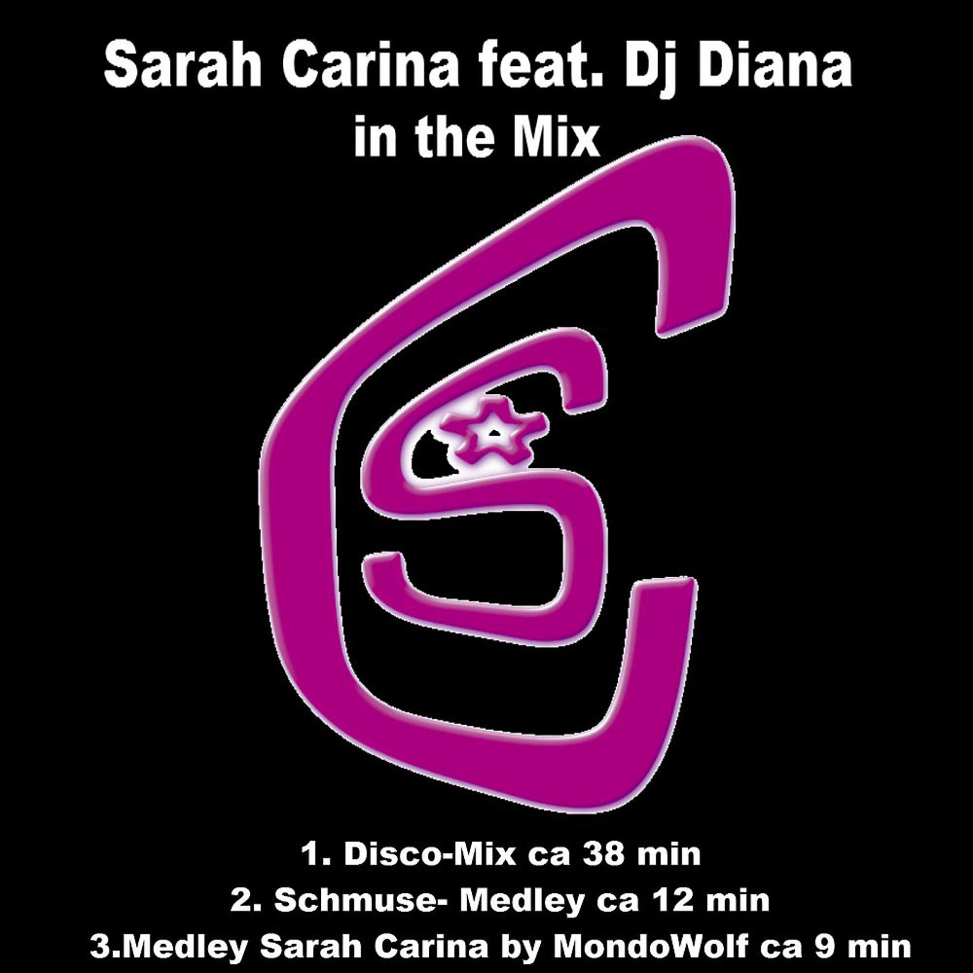 Постер альбома Sarah Carina feat. DJ Diana (In the Mix)