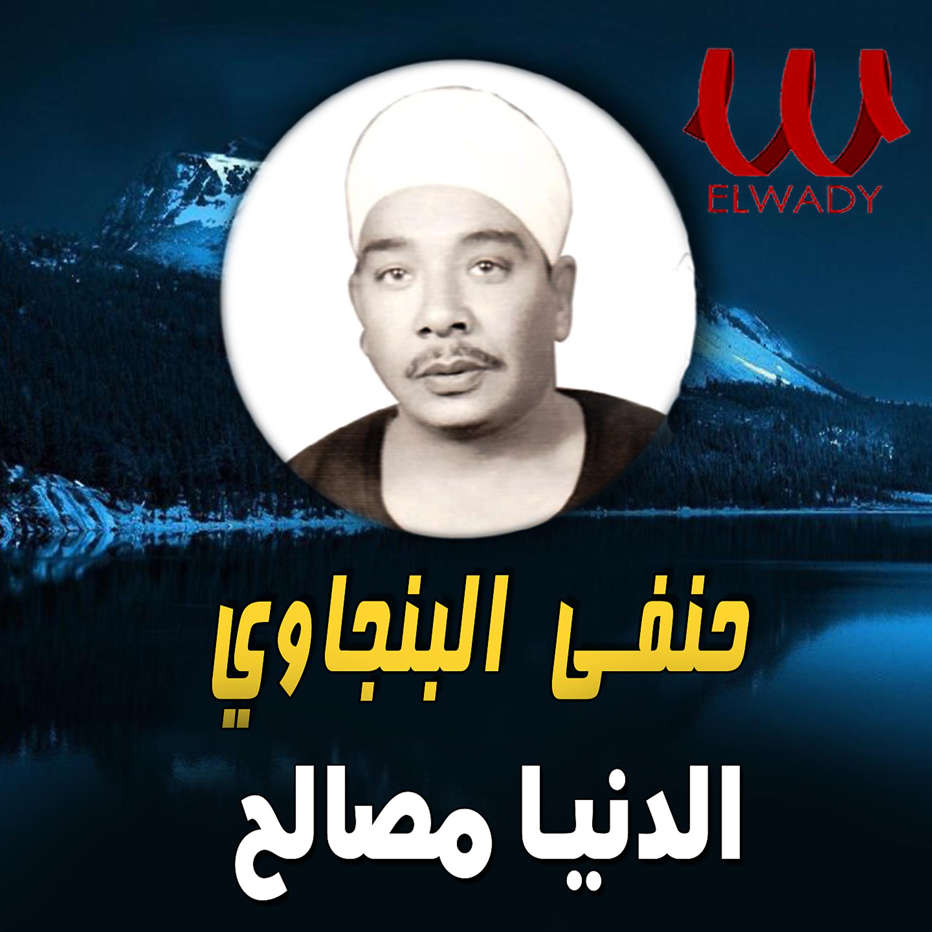 Постер альбома الدنيا مصالح