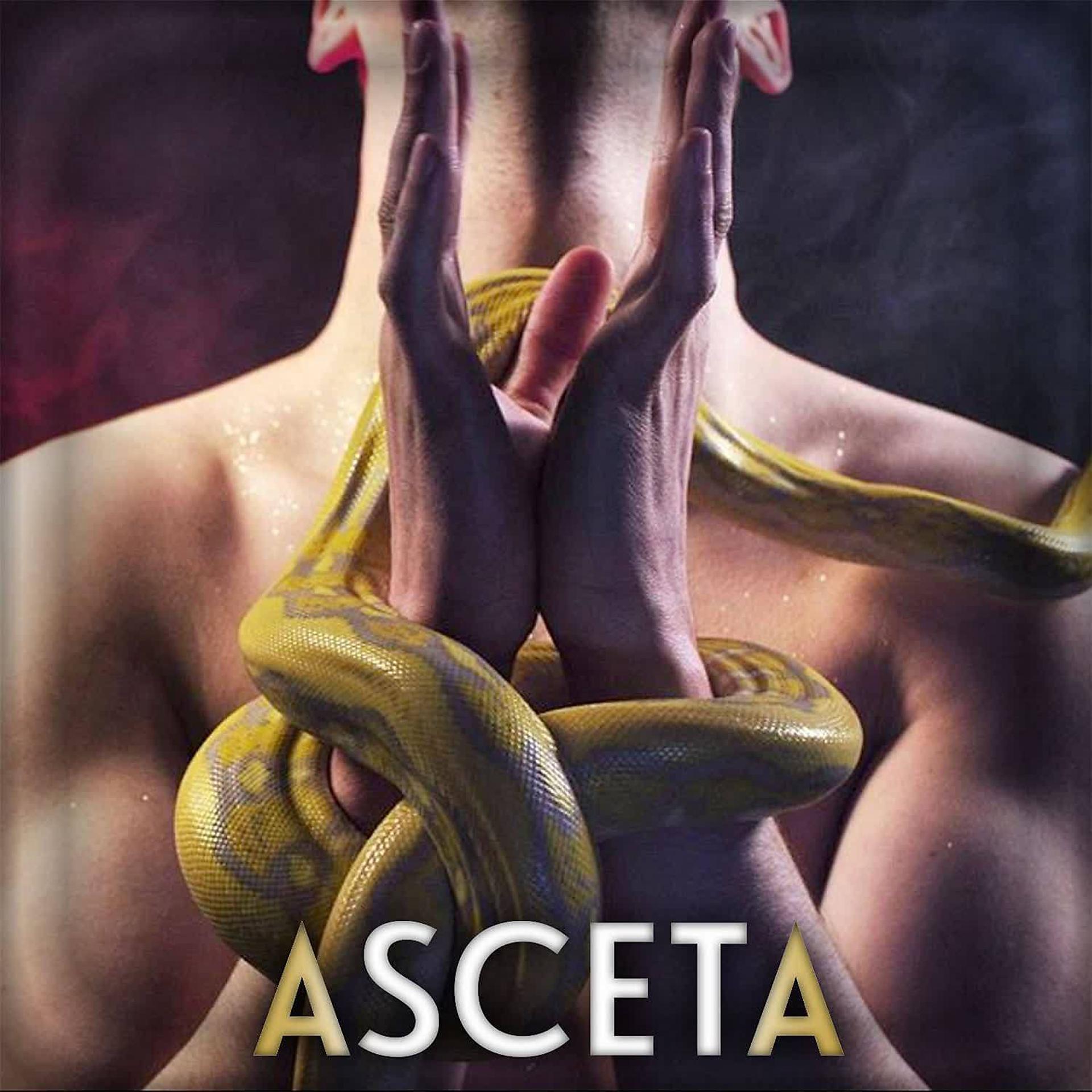 Постер альбома Asceta