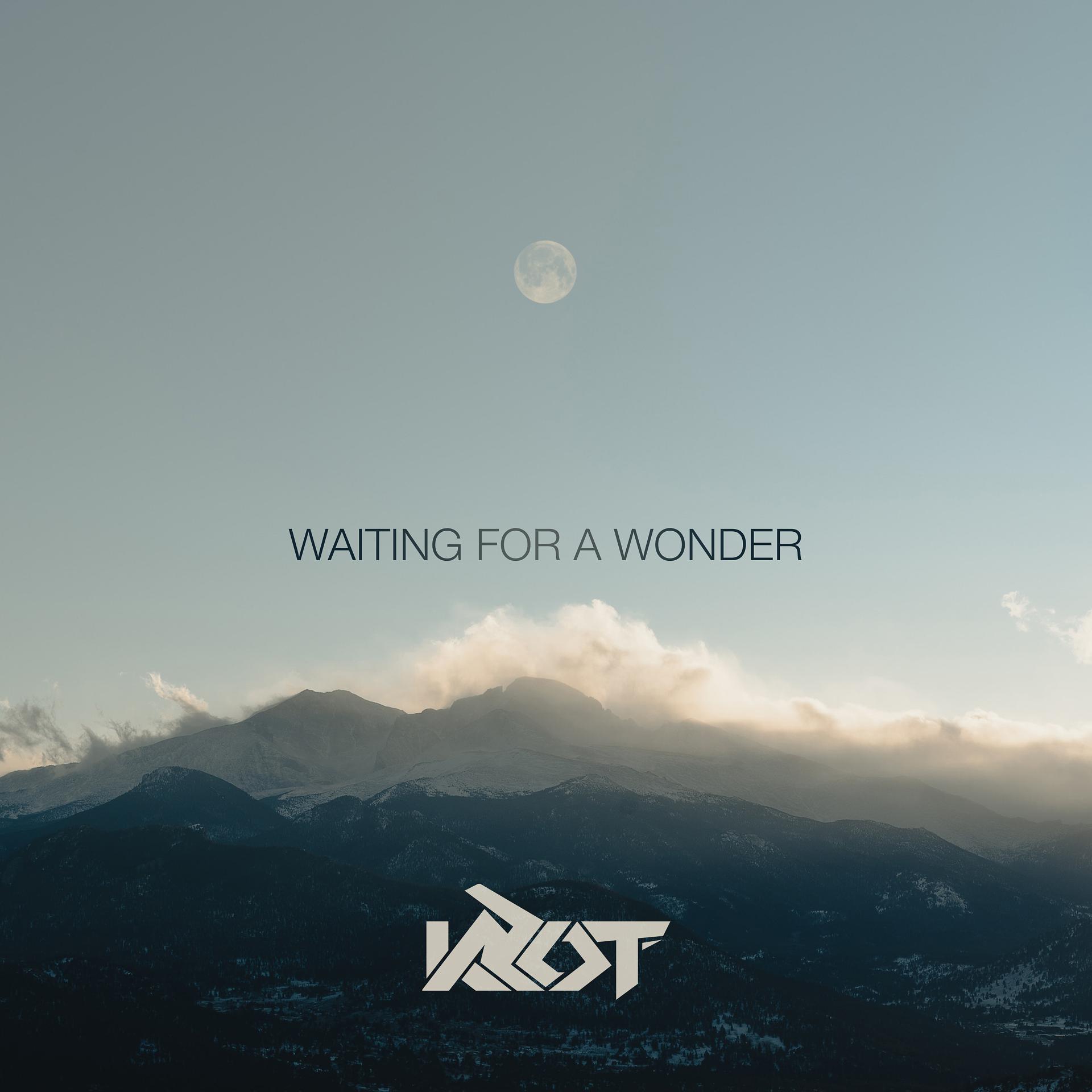 Постер альбома Waiting For A Wonder