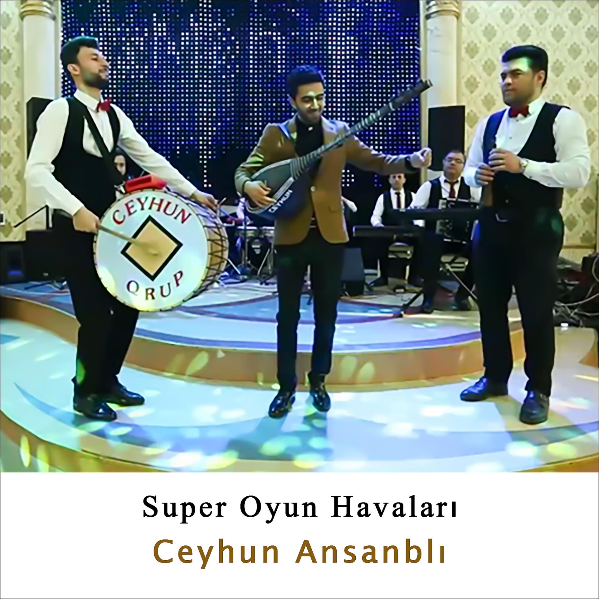 Постер альбома Super Oyun Havaları