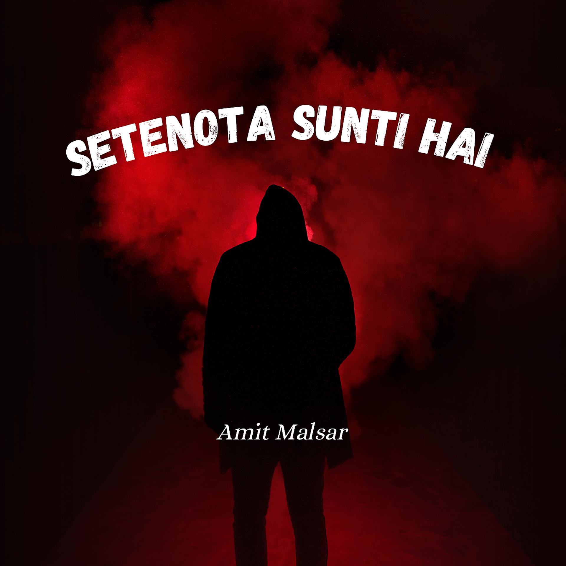 Постер альбома Setenota Sunti Hai