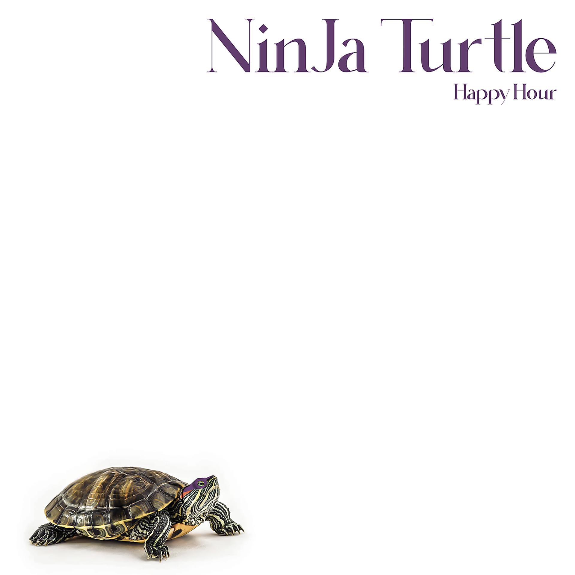 Постер альбома Ninja Turtle