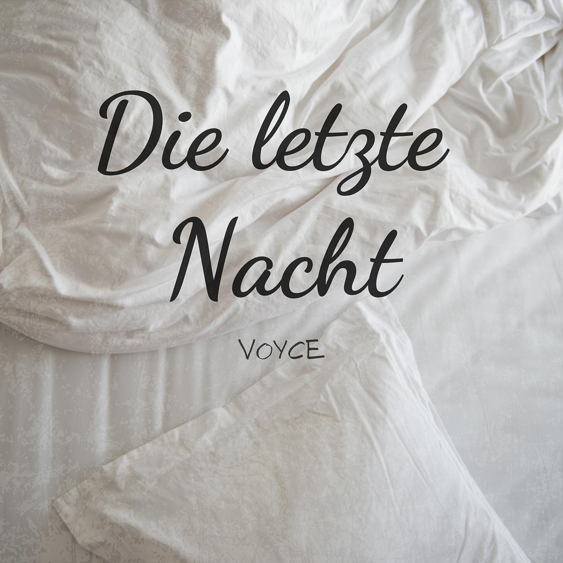 Постер альбома Die letzte Nacht