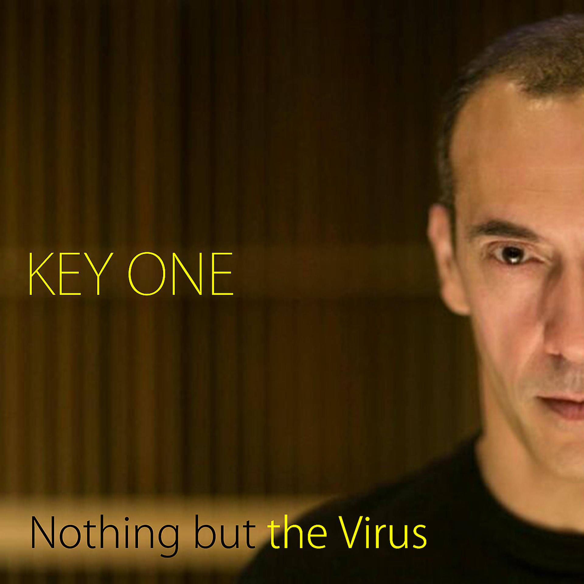 Постер альбома Nothing but the Virus